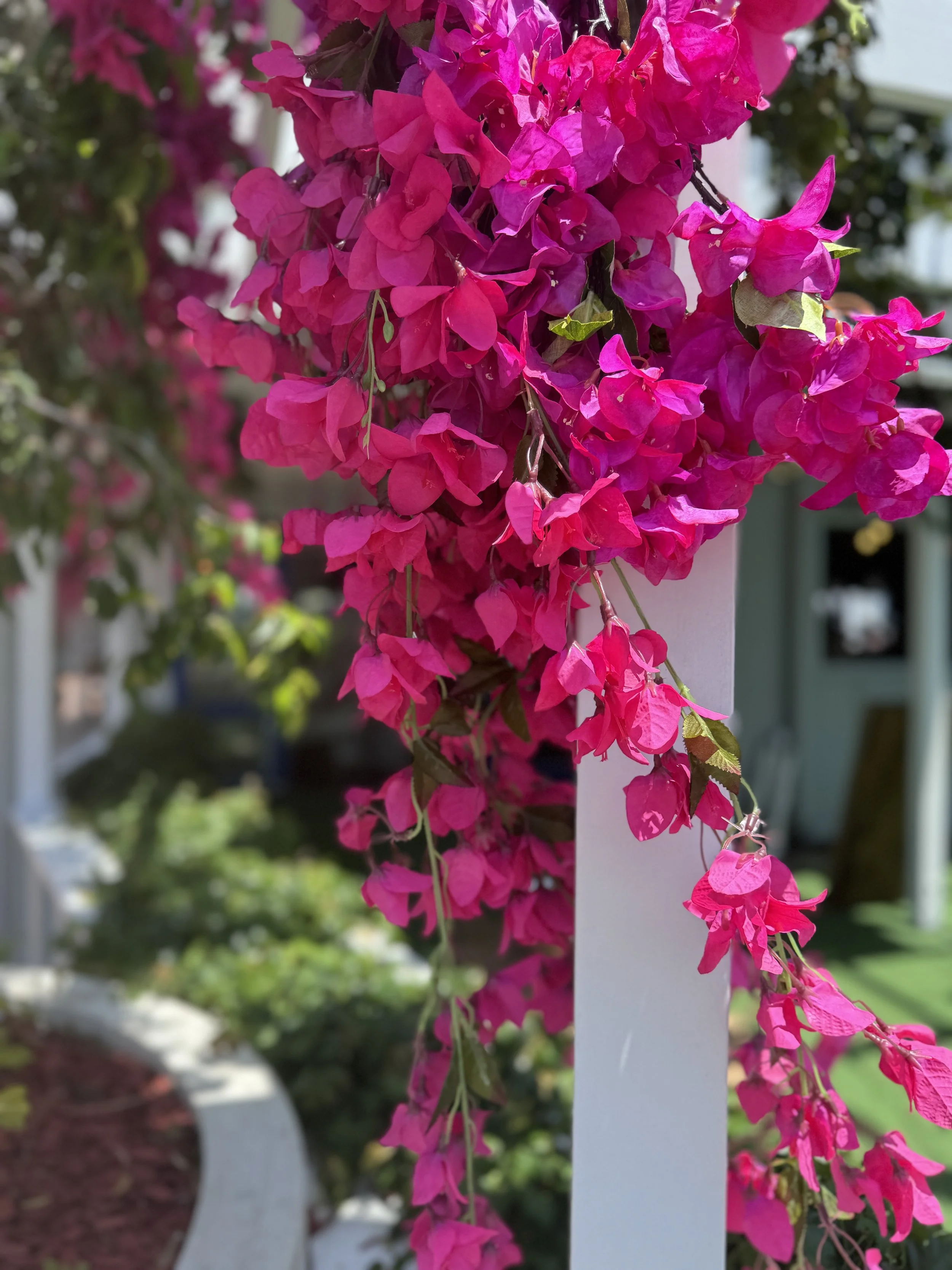 Spero Restaurant – Bougainvillea Installation