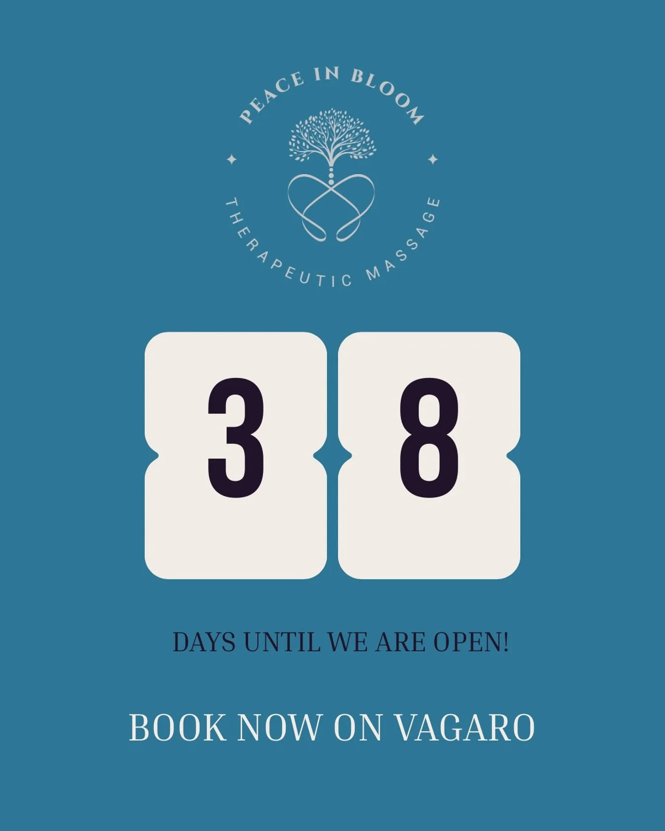 The office opens on January 8, but you can get on the books now! Gift certificates are available, or you can book yourself a spot on Vagaro. I can&rsquo;t wait for you all to see the space!