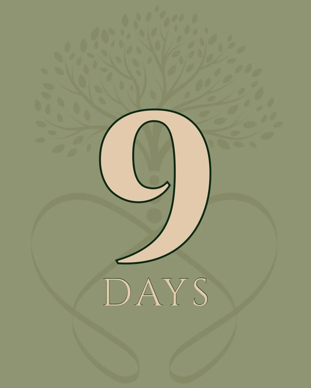 9 days to opening.

This practice is designed for people seeking thoughtful, therapeutic massage. Whether you&rsquo;re managing chronic pain, navigating healing after trauma, or simply needing relief from ongoing tension.
Every session begins with li