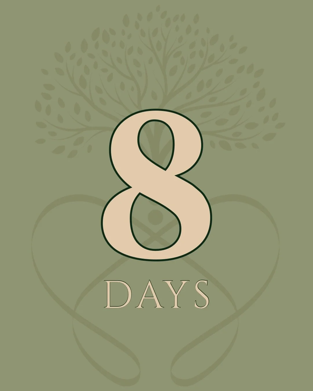 Healing is not meant to be done alone.

I am deeply grateful for my support system, the people who keep me grounded, remind me to rest, and hold space for me as I grow. Having support is essential for nervous system regulation, resilience, and long-t