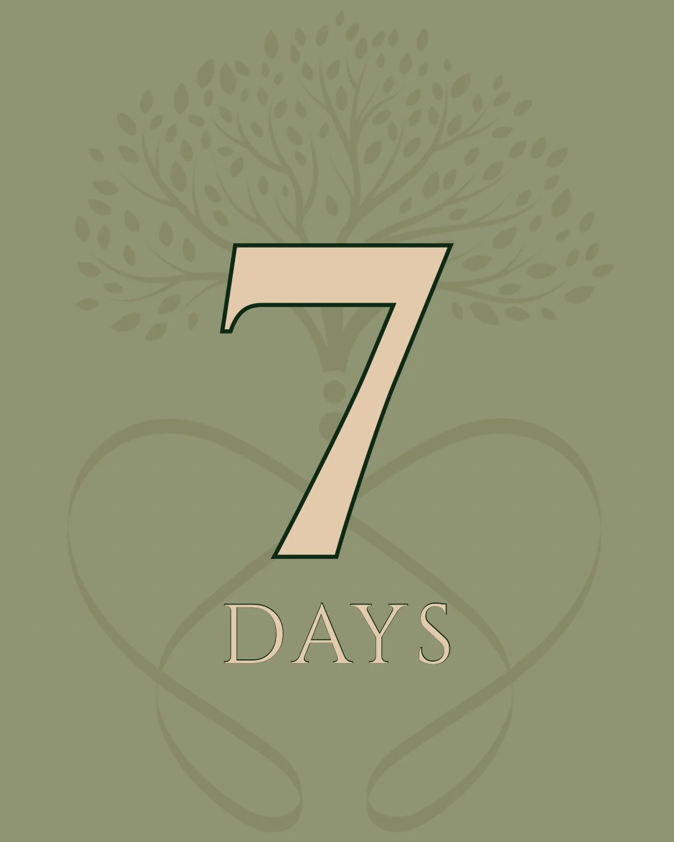 7 days to opening.

The work I do is built on years of learning and continued curiosity about the human body.

I studied Kinesiology at Indiana University and spent several years working as a personal trainer. Along the way, I continued my education 