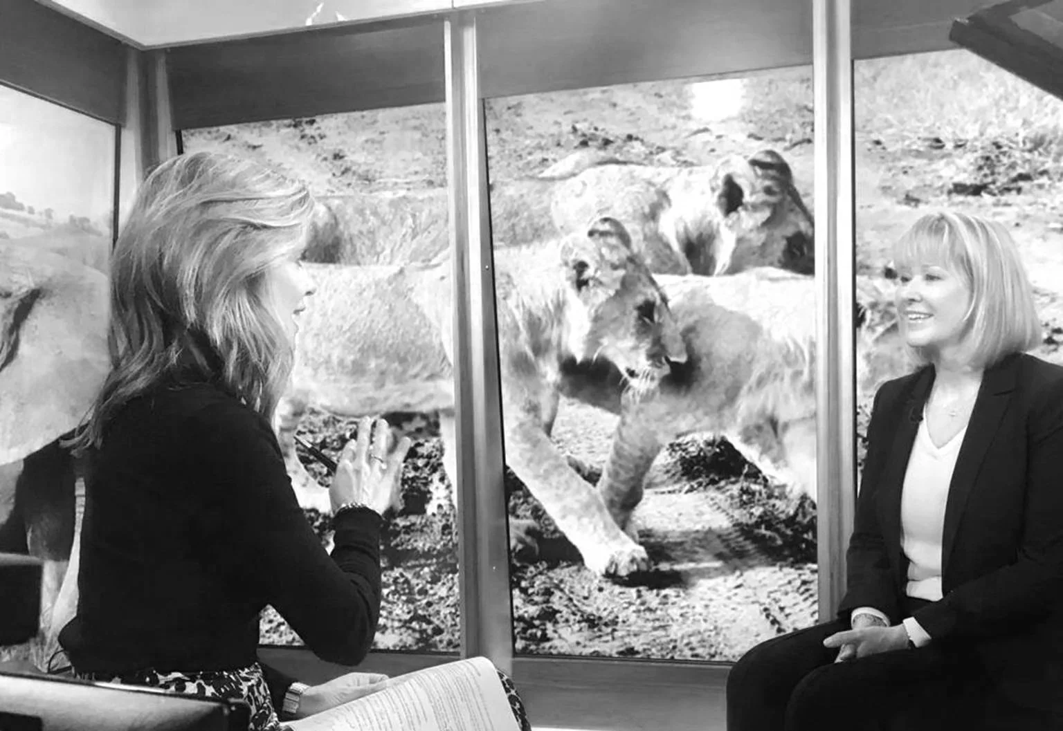 Two women sitting and talking in front of a large mural of lions in the natural habitat.