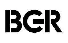 Black logo with the letters BGR in bold, with the 'G' stylized to resemble a backwards 'L'.