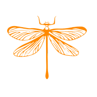 Orange outline of a dragonfly with detailed wings and body on a black background.