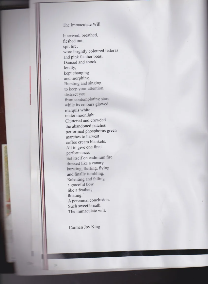 The Immaculate Will (Copy)