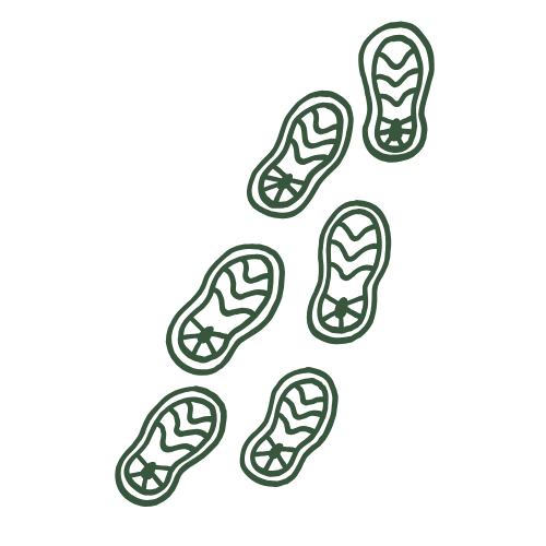 Illustration of six green sneakers arranged in a scattered pattern.