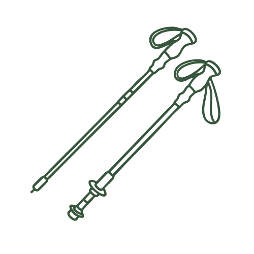A pair of hiking or trekking poles with adjustable straps.