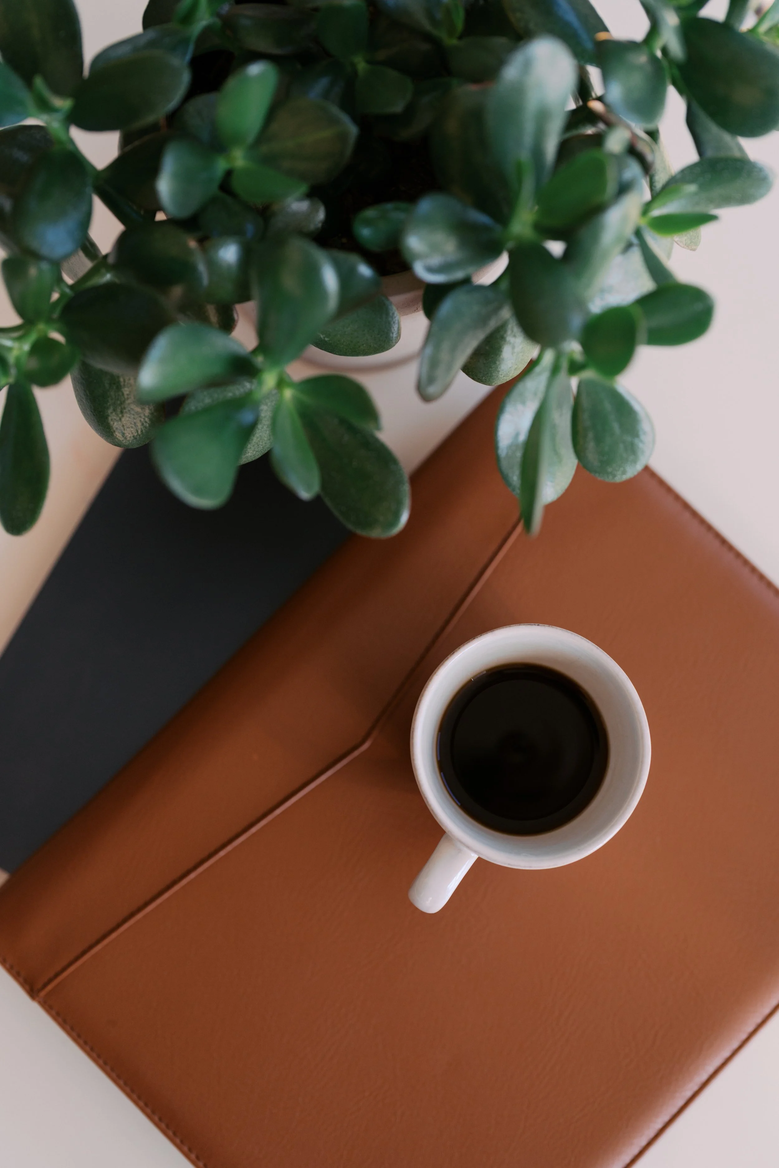 A top-down view of a white mug filled with black coffee on a brown leather briefcase, with a green potted plant nearby.