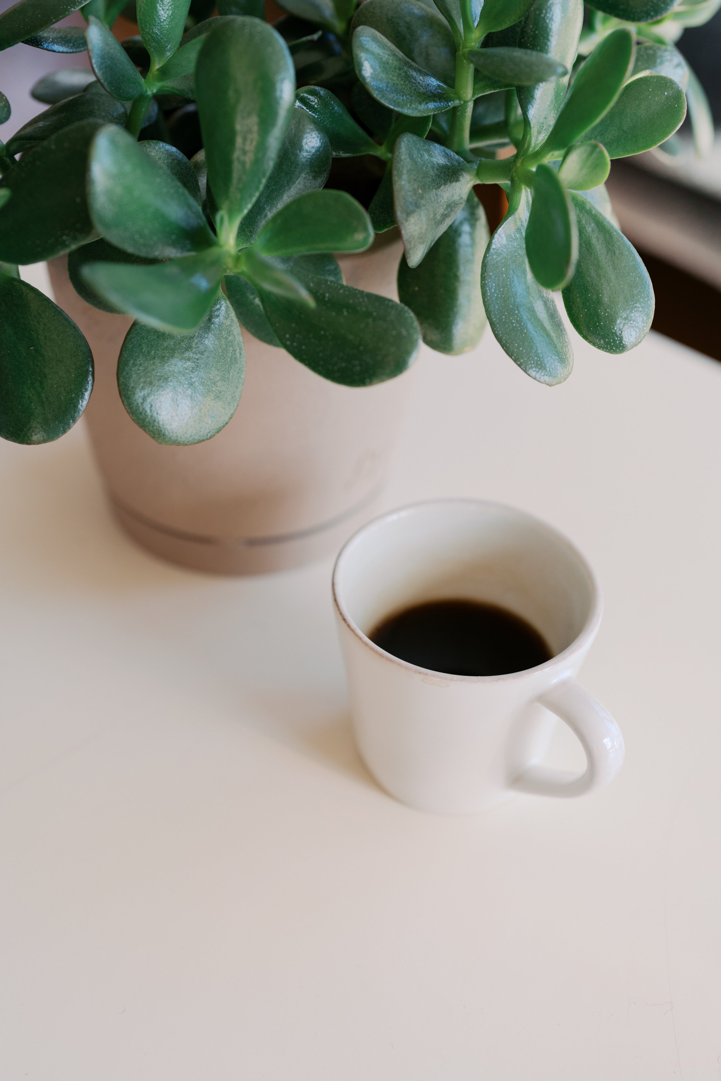 A white mug filled with black coffee placed on a light-colored surface, with a green leafy plant in a beige pot in the background.