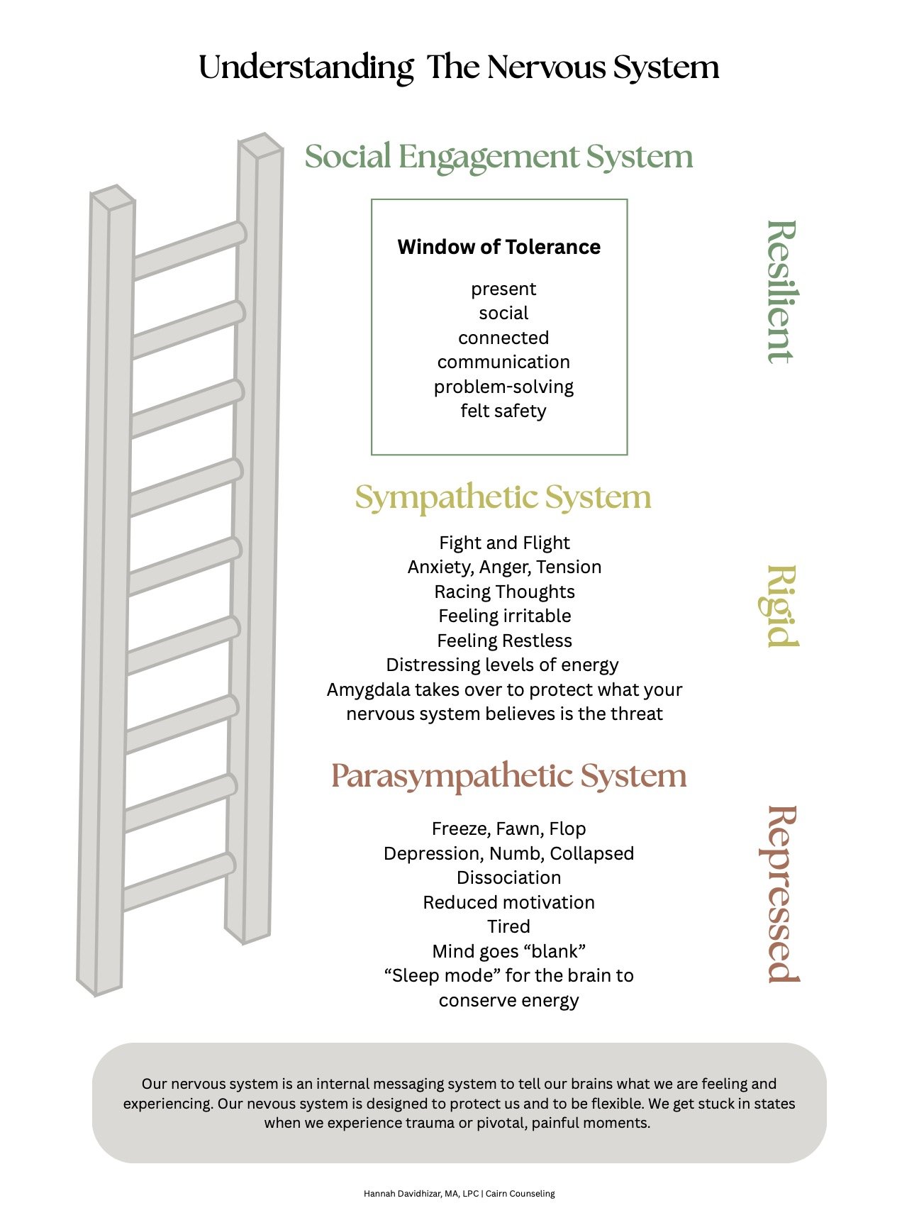 Diagram illustrating three parts of the nervous system: Social Engagement System, Sympathetic System, and Parasympathetic System, with descriptions of each.