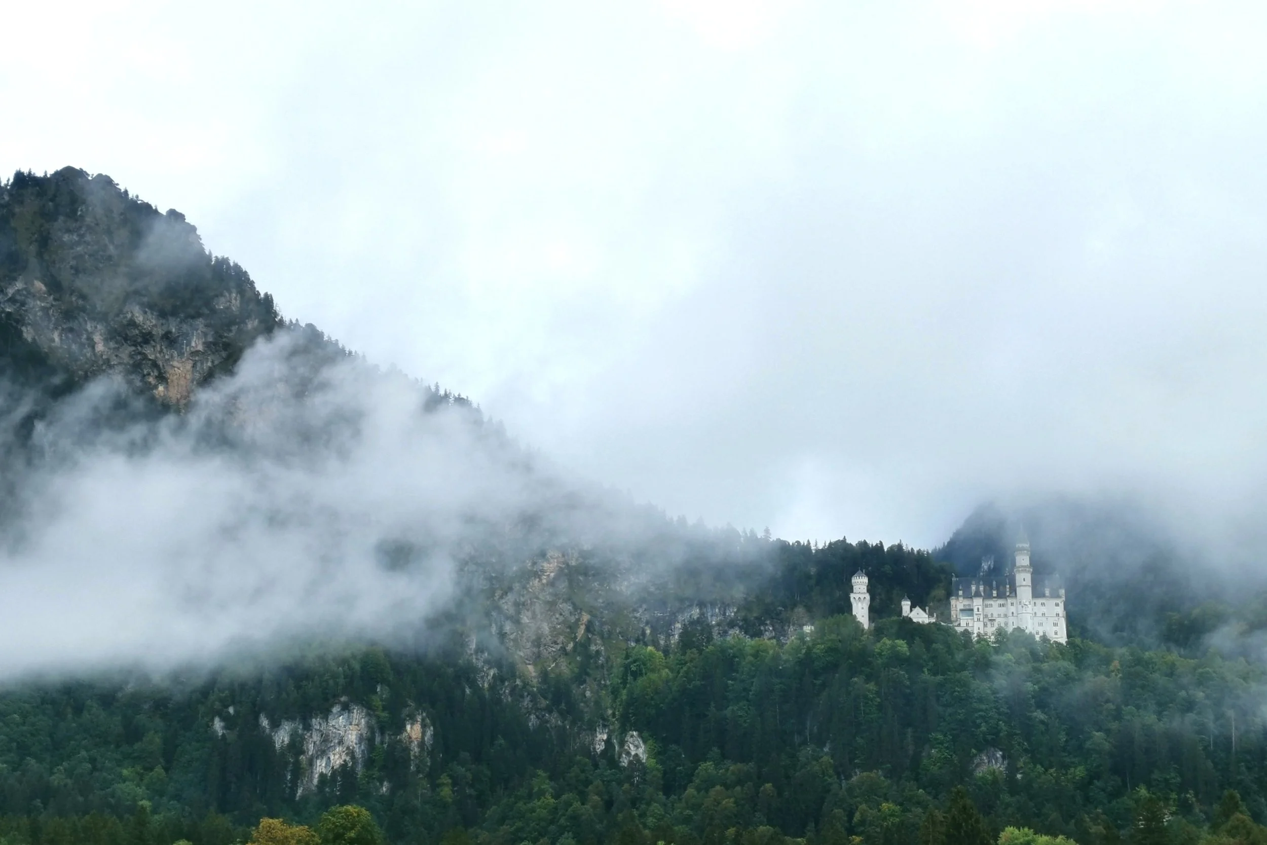 Misty Kingdom