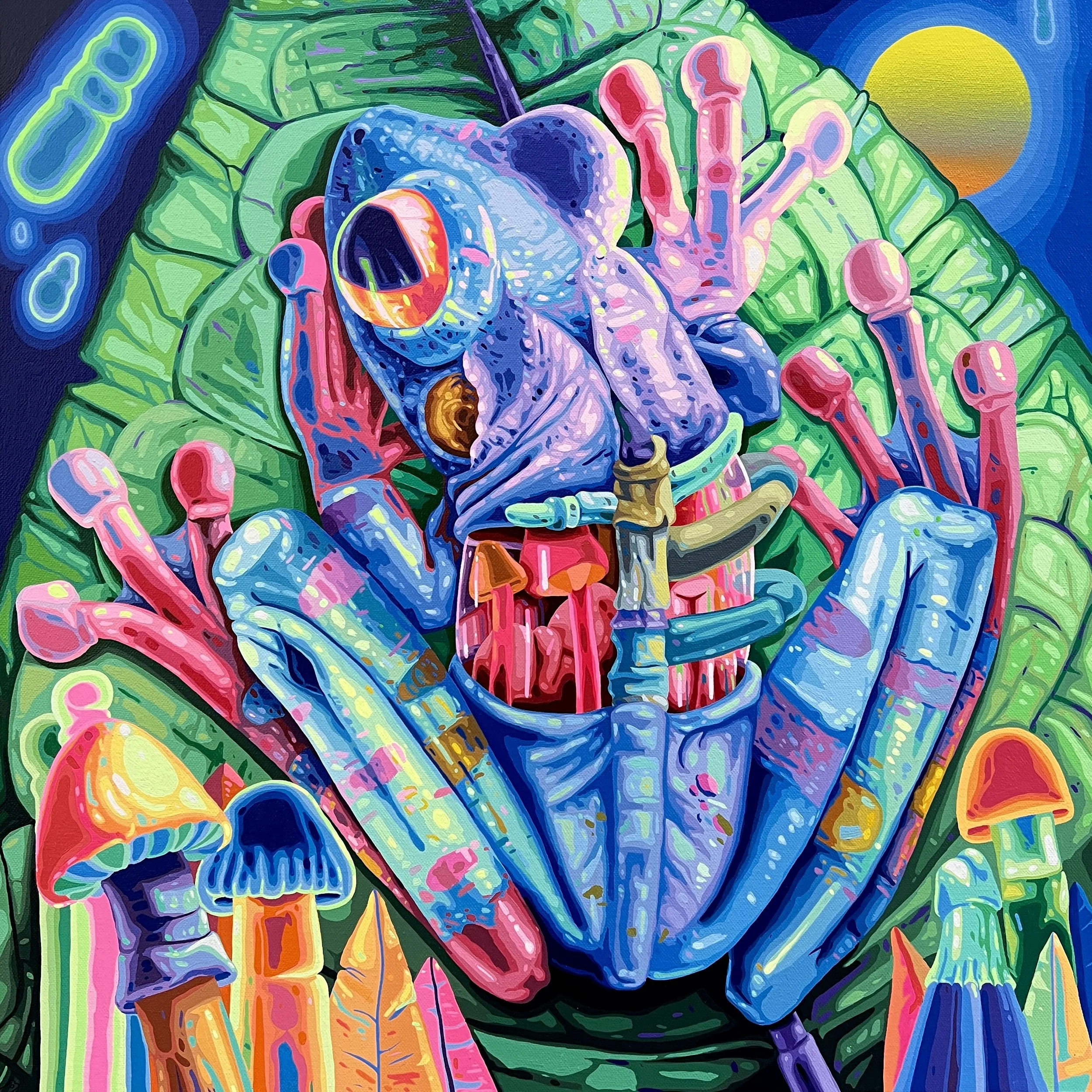 Frog Number 4, 2023, Acrílico sobre Lienzo, 60x60cm