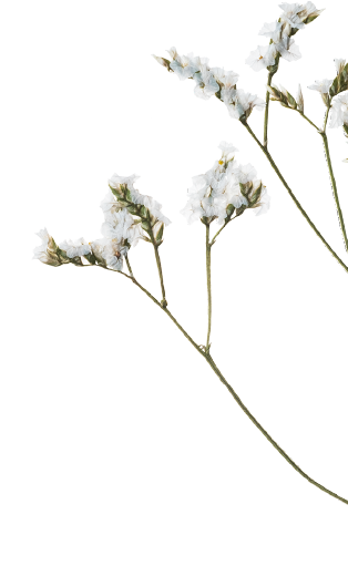 A pool with a flowering tree near it and a deck or patio area.