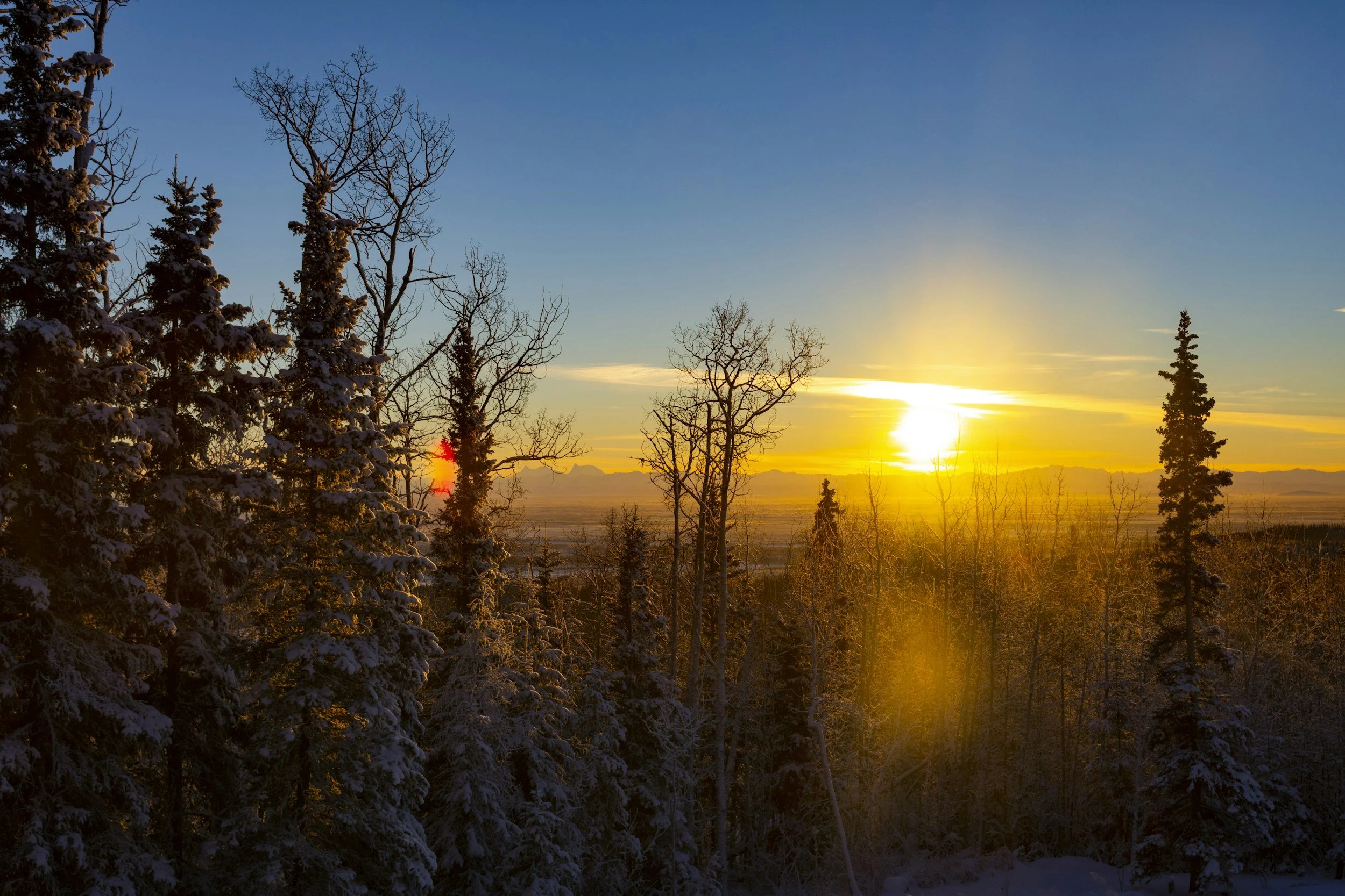 Embracing the Brilliance of   Winter