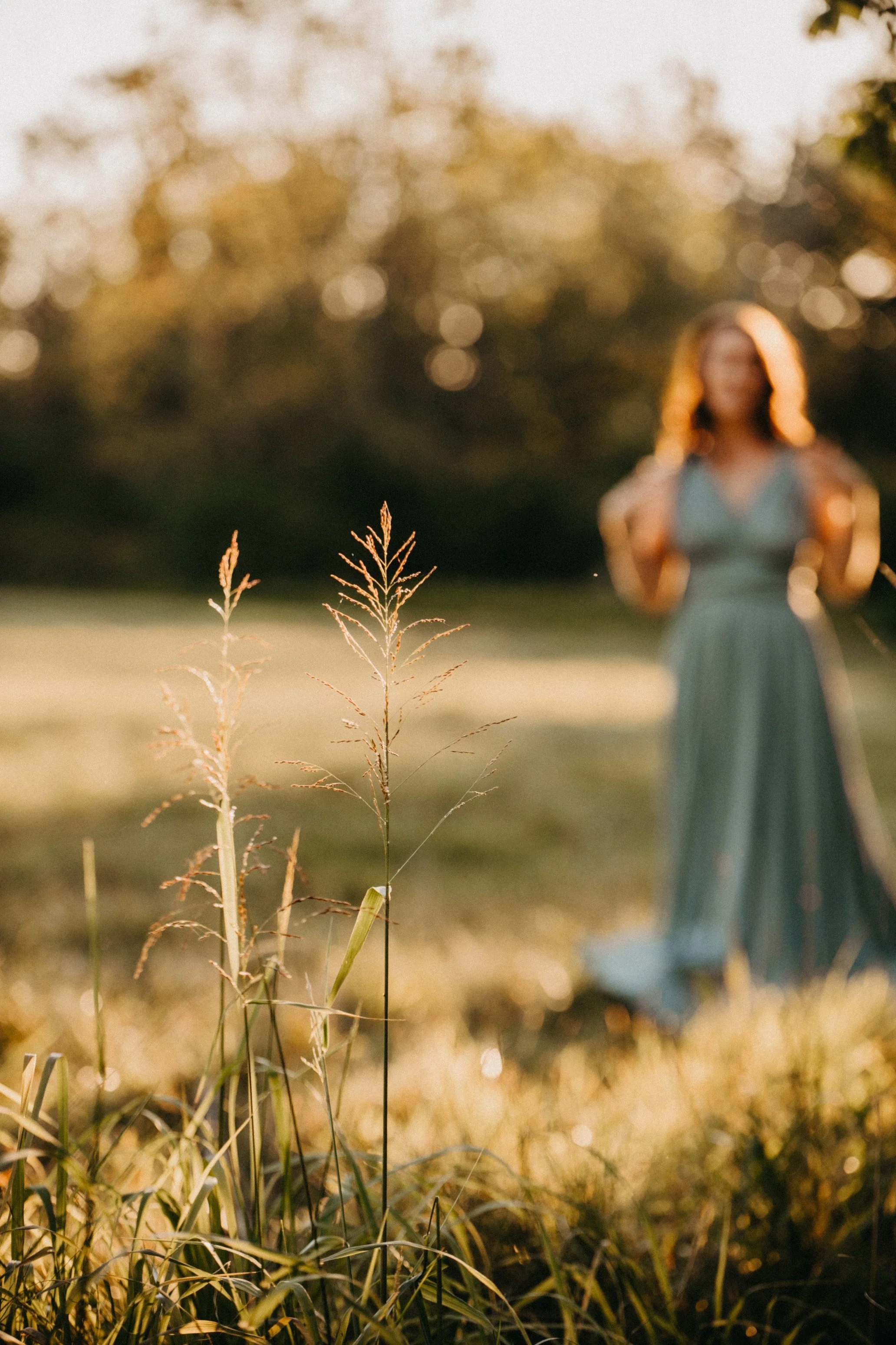 Close-up of wild grass stalks in a field during golden hour, with a woman in a long dress blurred in the background.