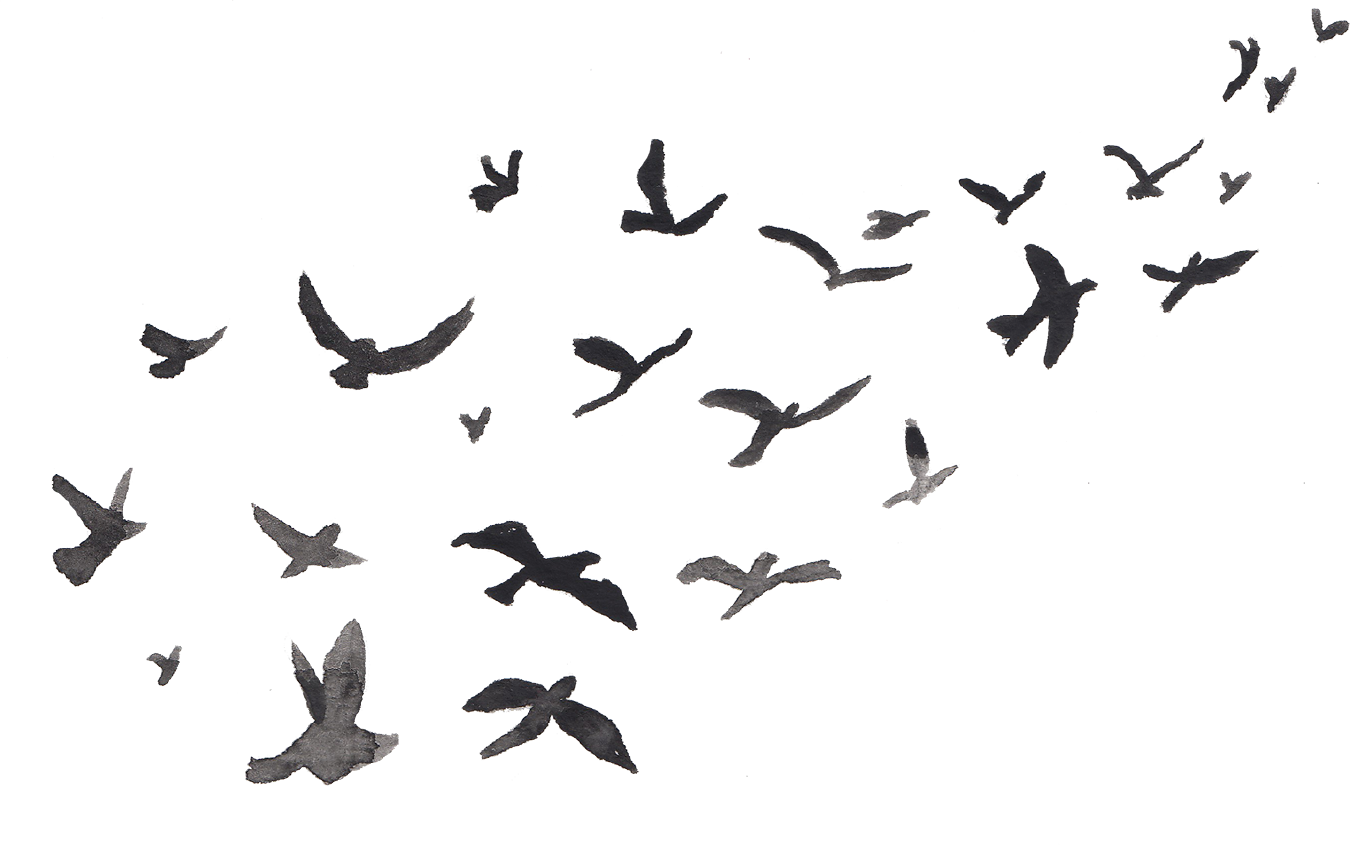 A flock of black birds in flight against a gray sky.