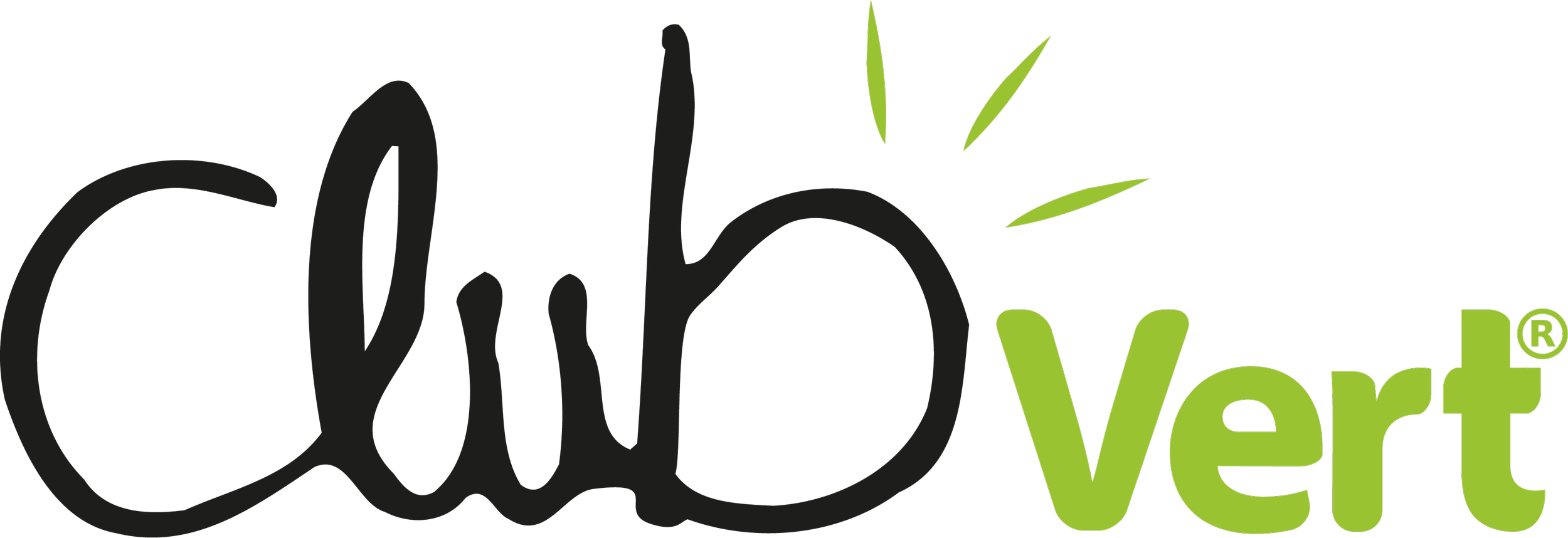 Logo de ChilliVert avec le nom en vert et des éléments graphiques en vert.