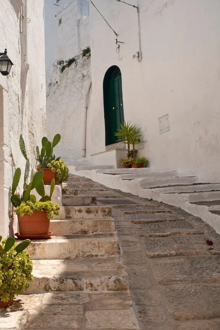 Whitewashed Mediterranean alleyway with stone steps, potted cacti and succulents, dark green door, and overhead wires.