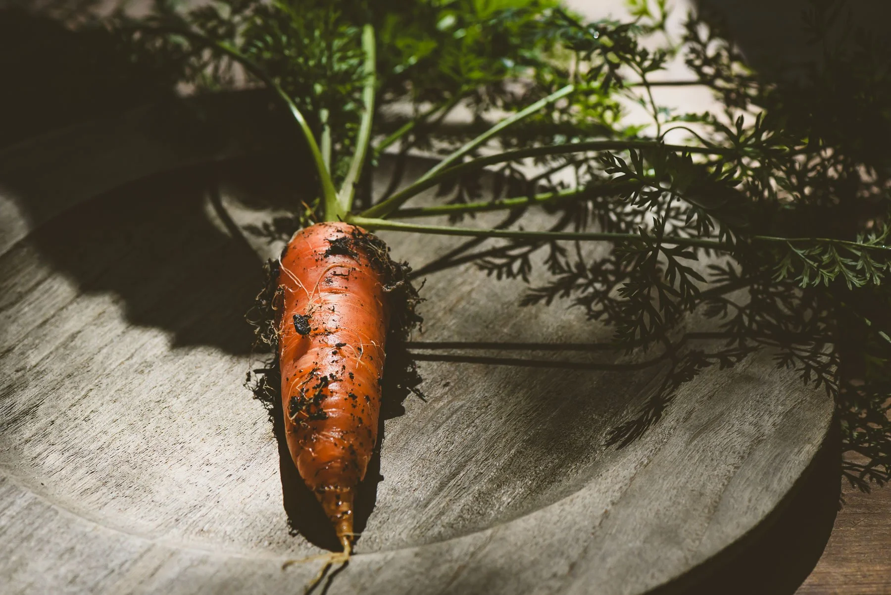 carrot.jpg