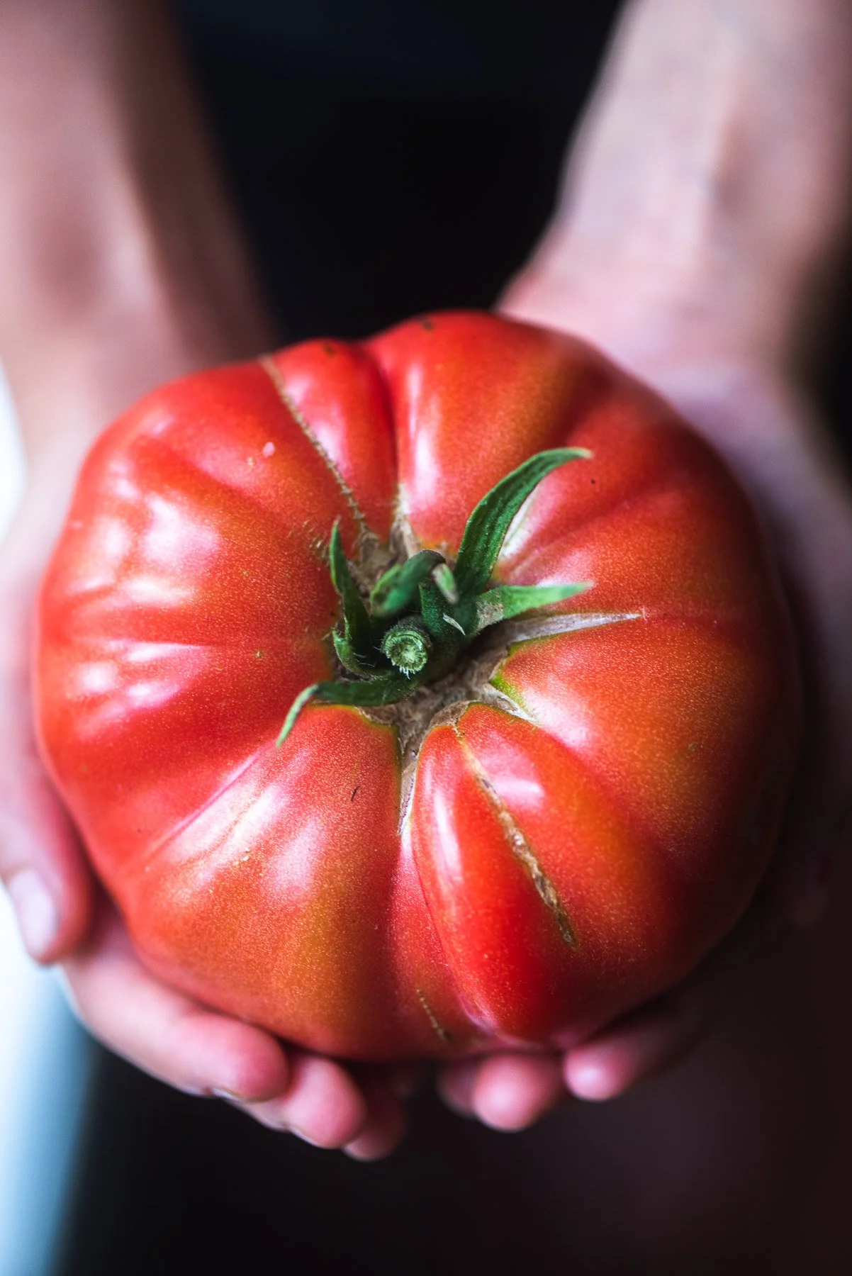 tomatoes.jpg