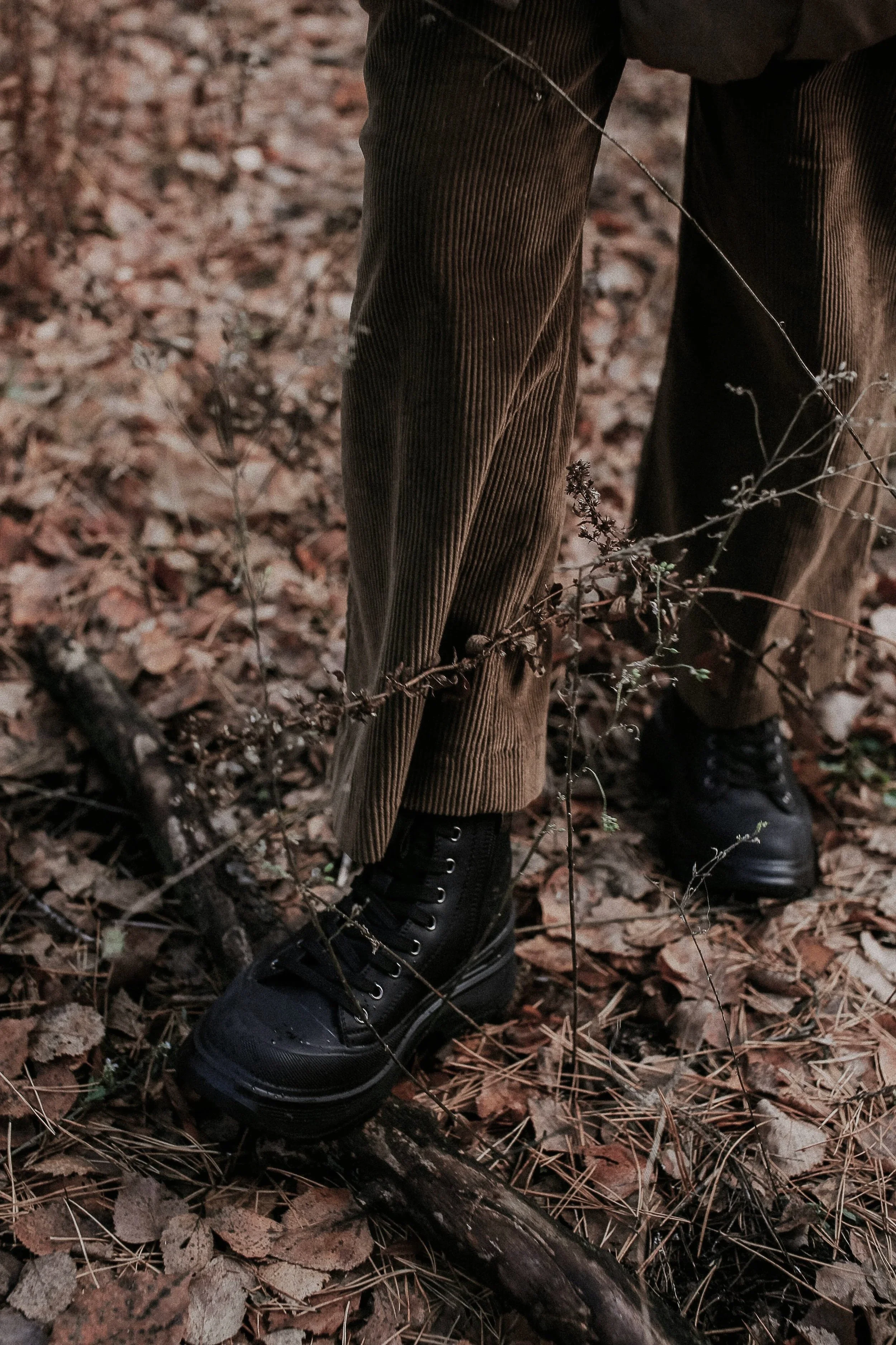 pexels-nikitaxnikitin-10102410.jpg