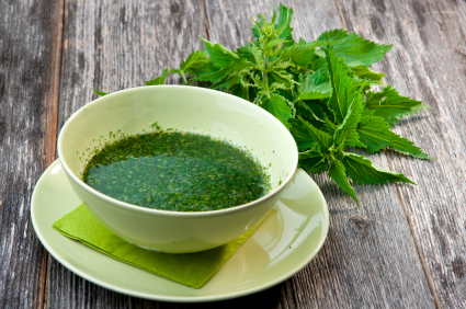 nettle-leaf-2016_1.jpg