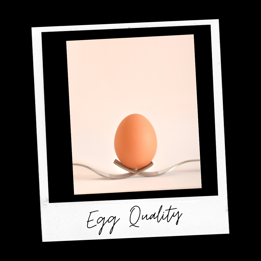 Acupuncture and Egg Quality
