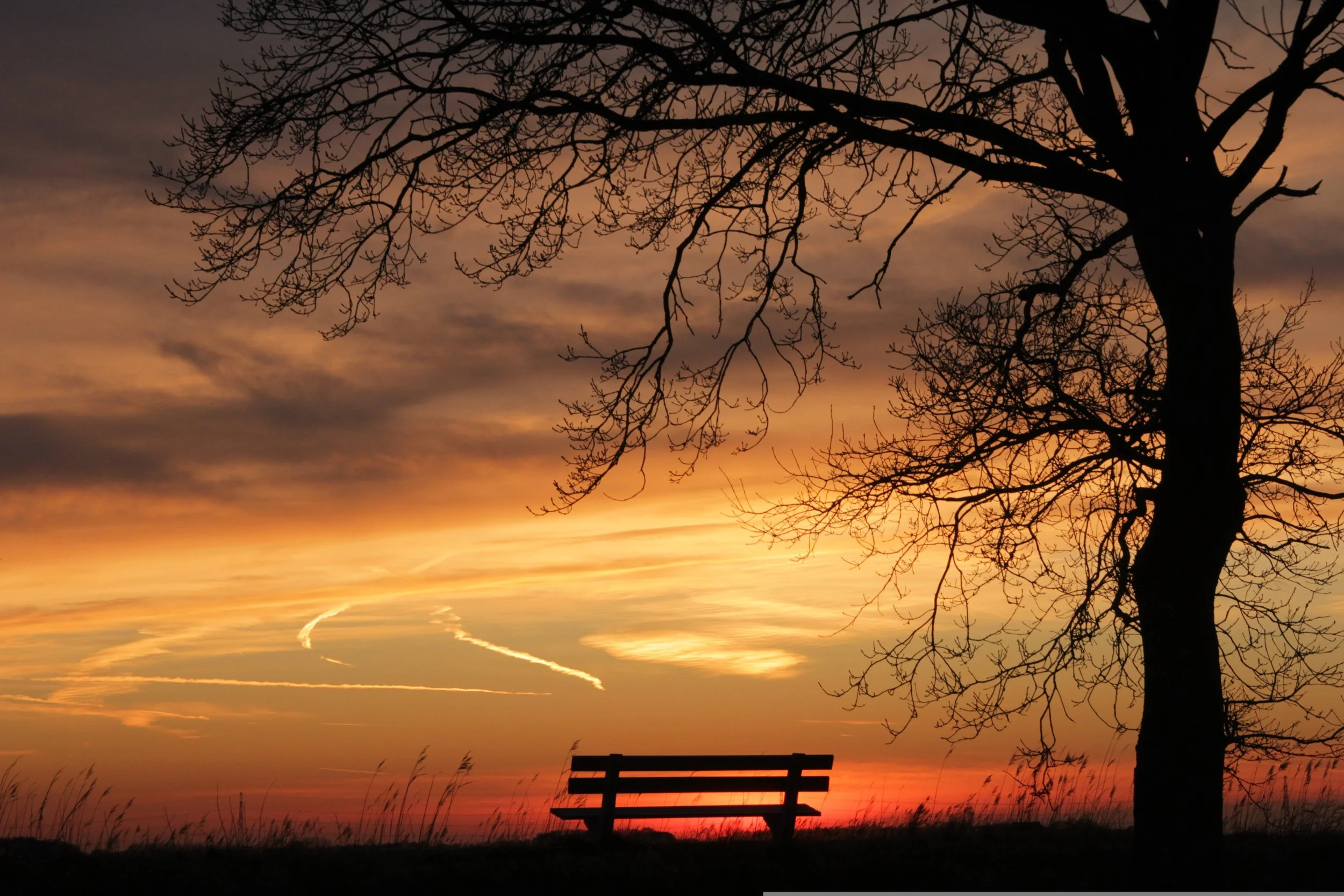 Audio cover for the solo piano track Transition, featuring calm, minimal tones that move gently from one mood to the next.