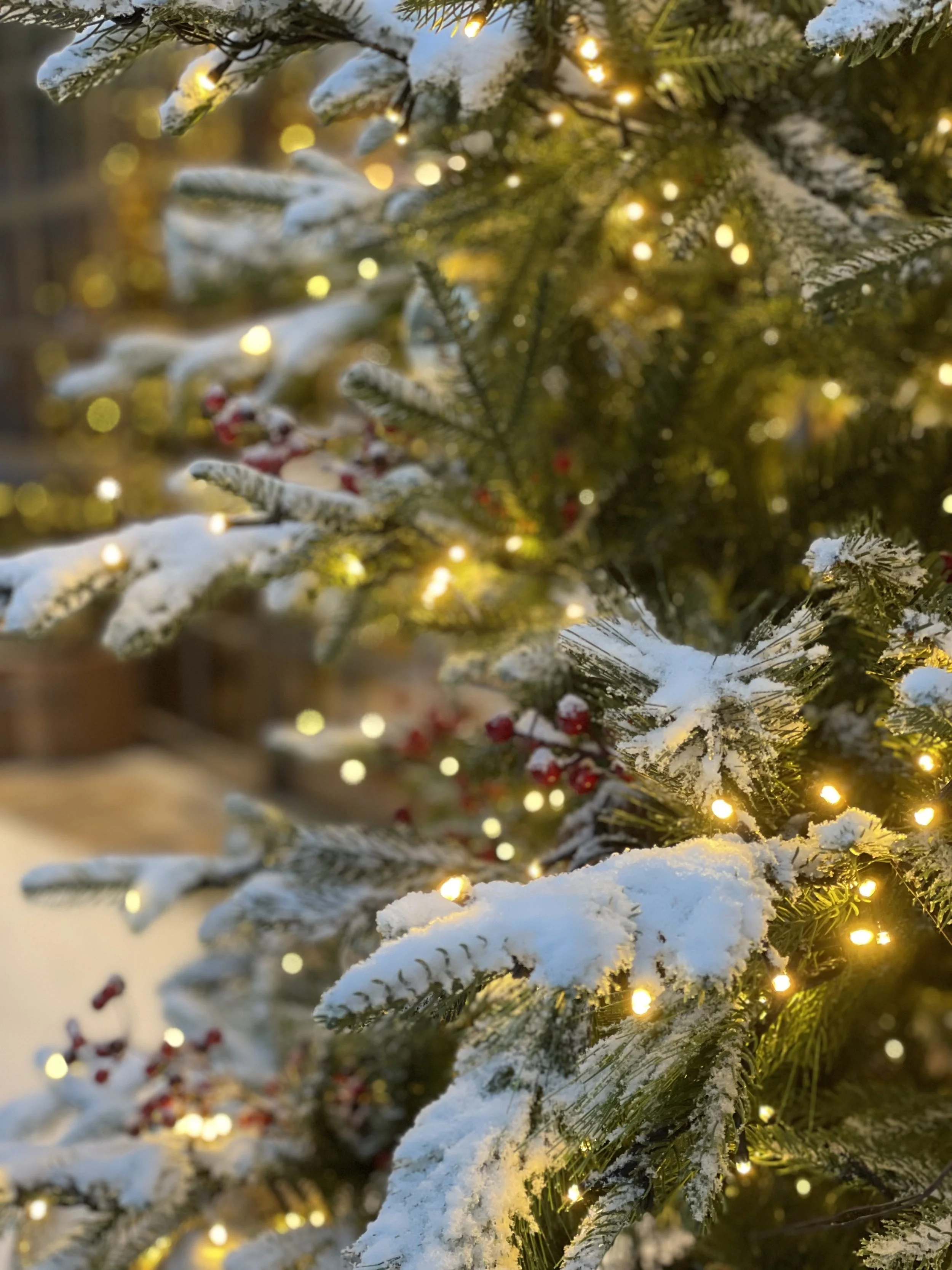 decorated christmas tree