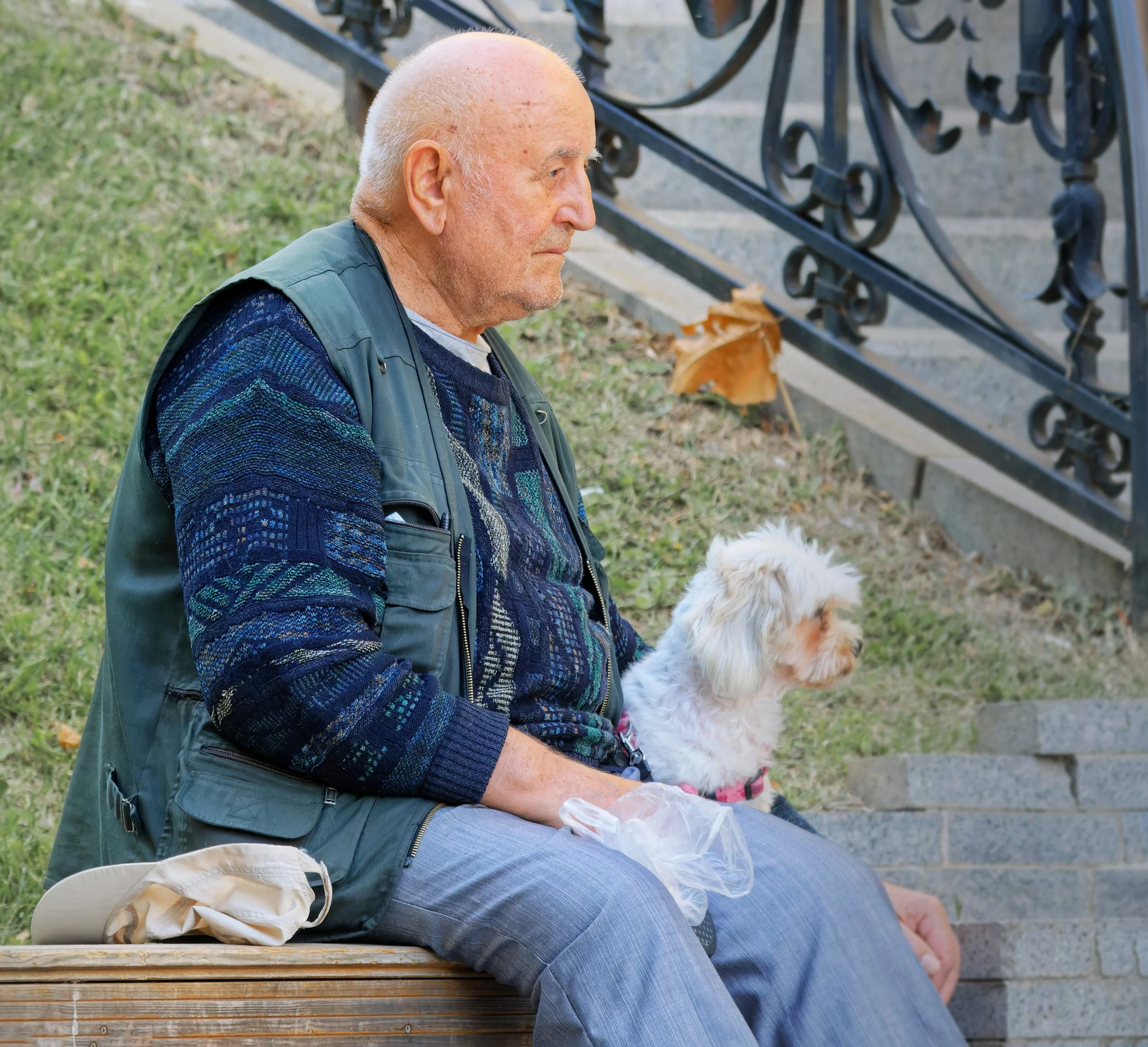 older man & dog on bench waiting
