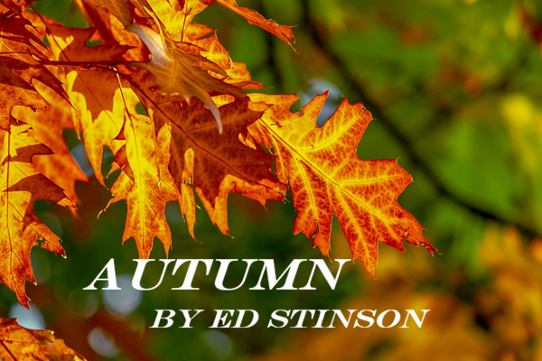 Autumn cover art.png