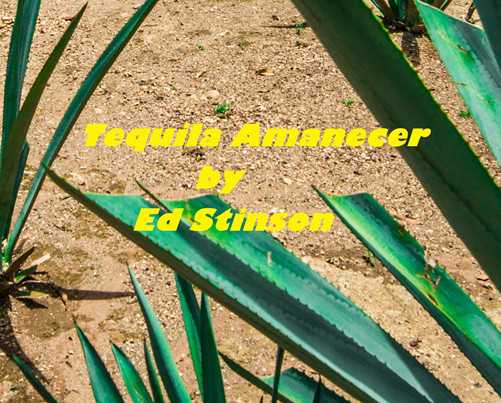 Tequila Amanecer cover art.png