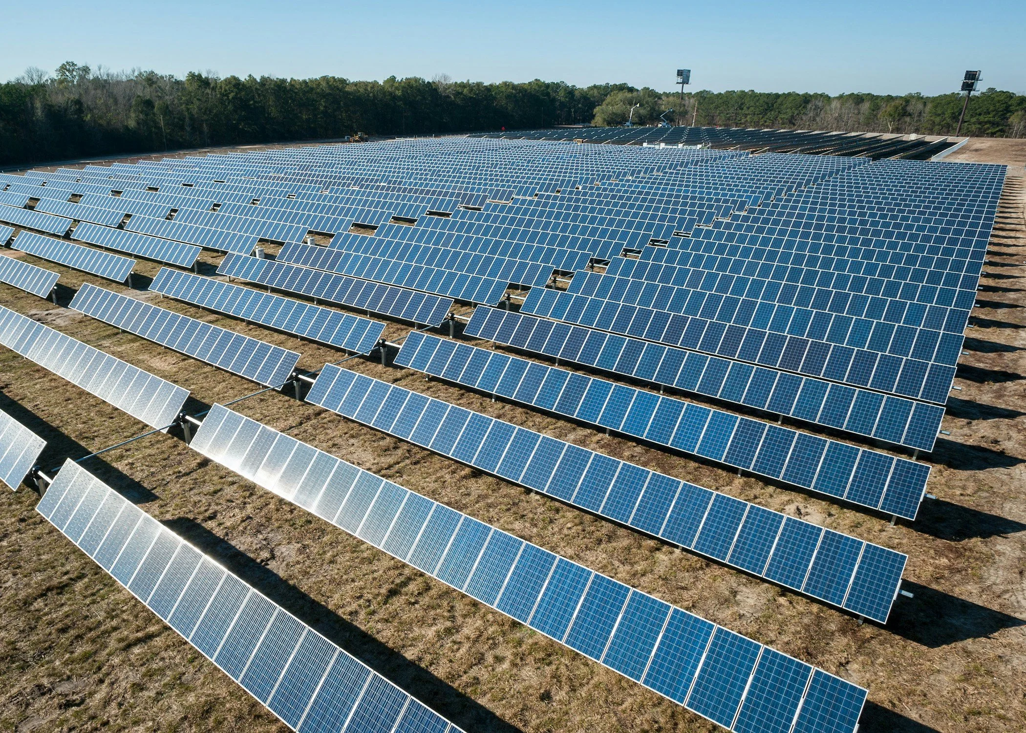 Large field of solar panels under clear blue sky with trees in the distance.