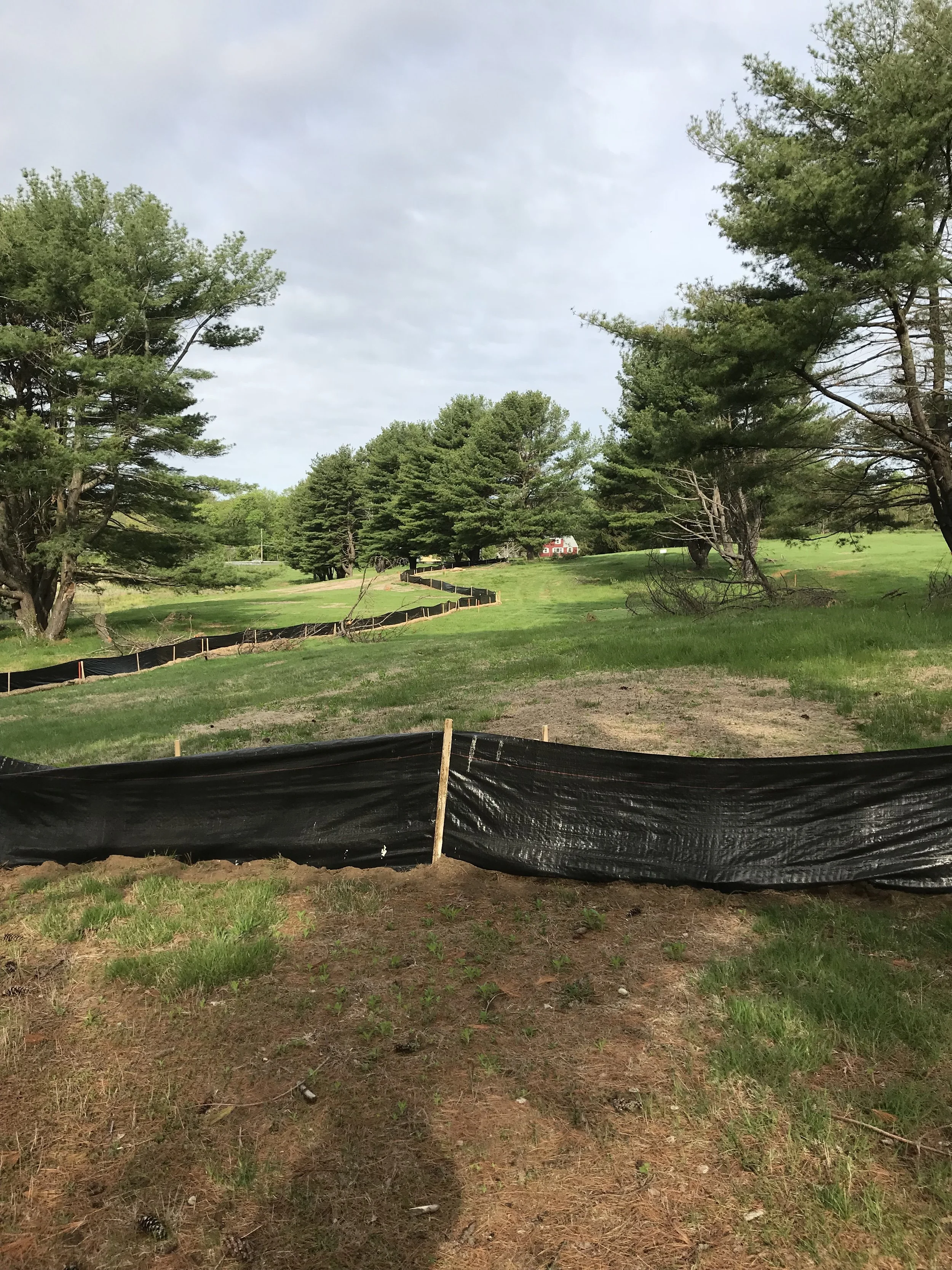 A landscape with green grass, tall trees, and a cloudy sky. There is a black construction barrier or fence along the ground. In the background, a red building with white trim is partially visible.