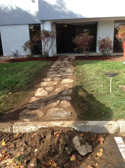 Stone pathway leading to the entrance of a building with bushes on either side and a grassy lawn.
