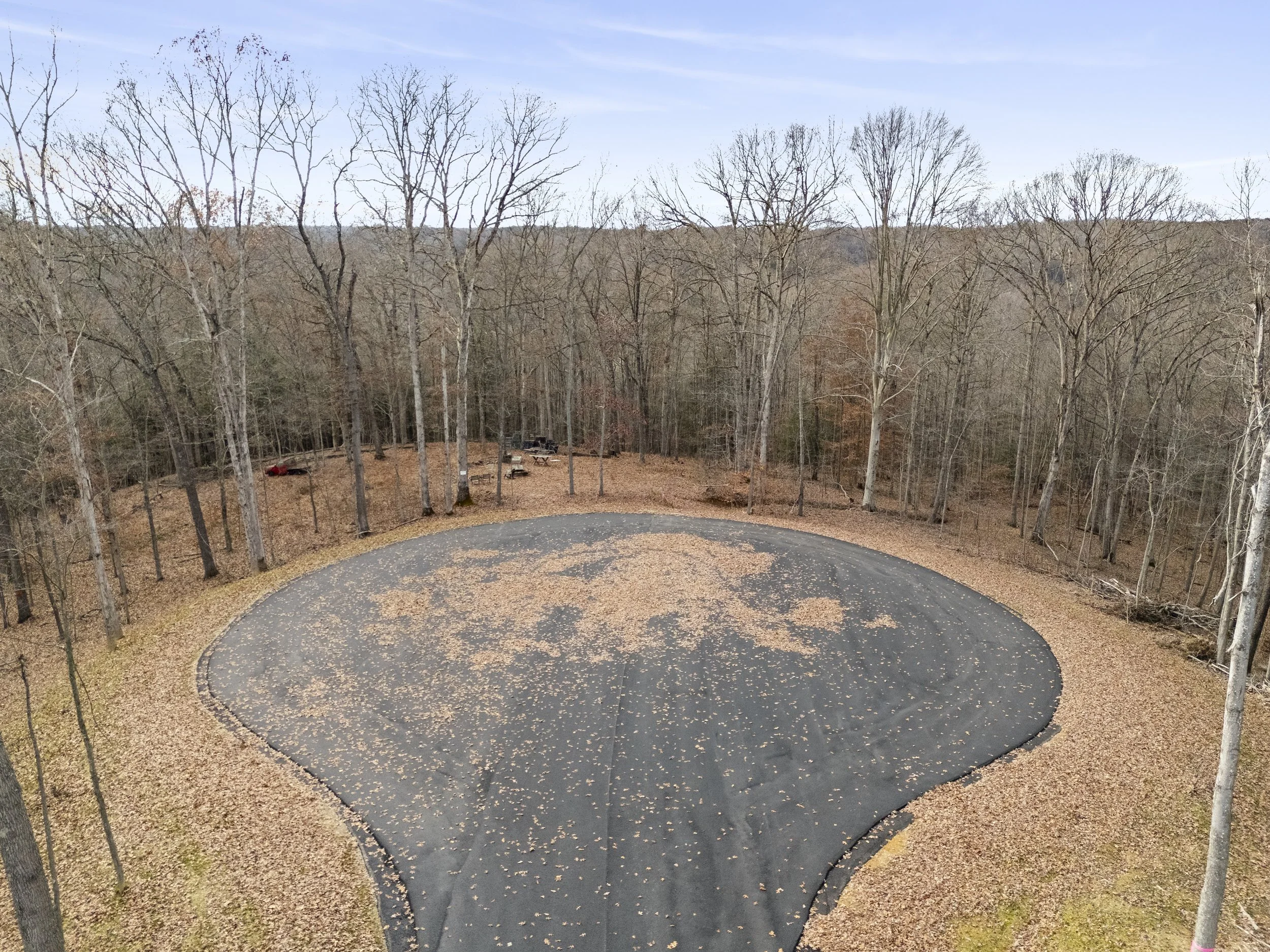 A winding road in a forest with mostly bare trees and fallen leaves on the ground during fall.