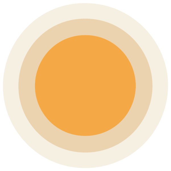 Orange Circle Design