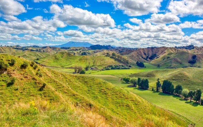 Taranaki 11.jpg