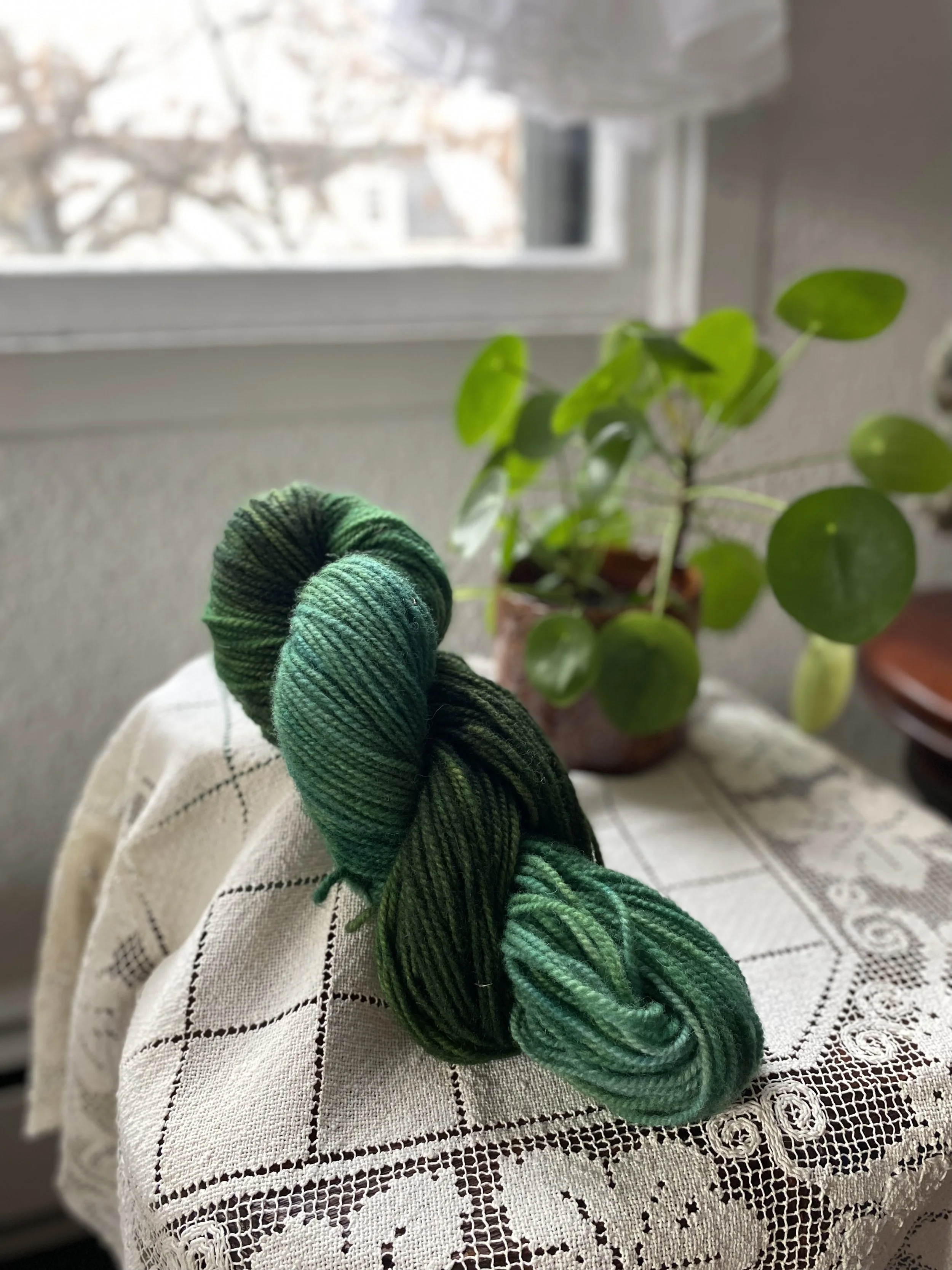 A skein of green yarn resting on a lace tablecloth, with a potted plant with round green leaves and a window in the background.