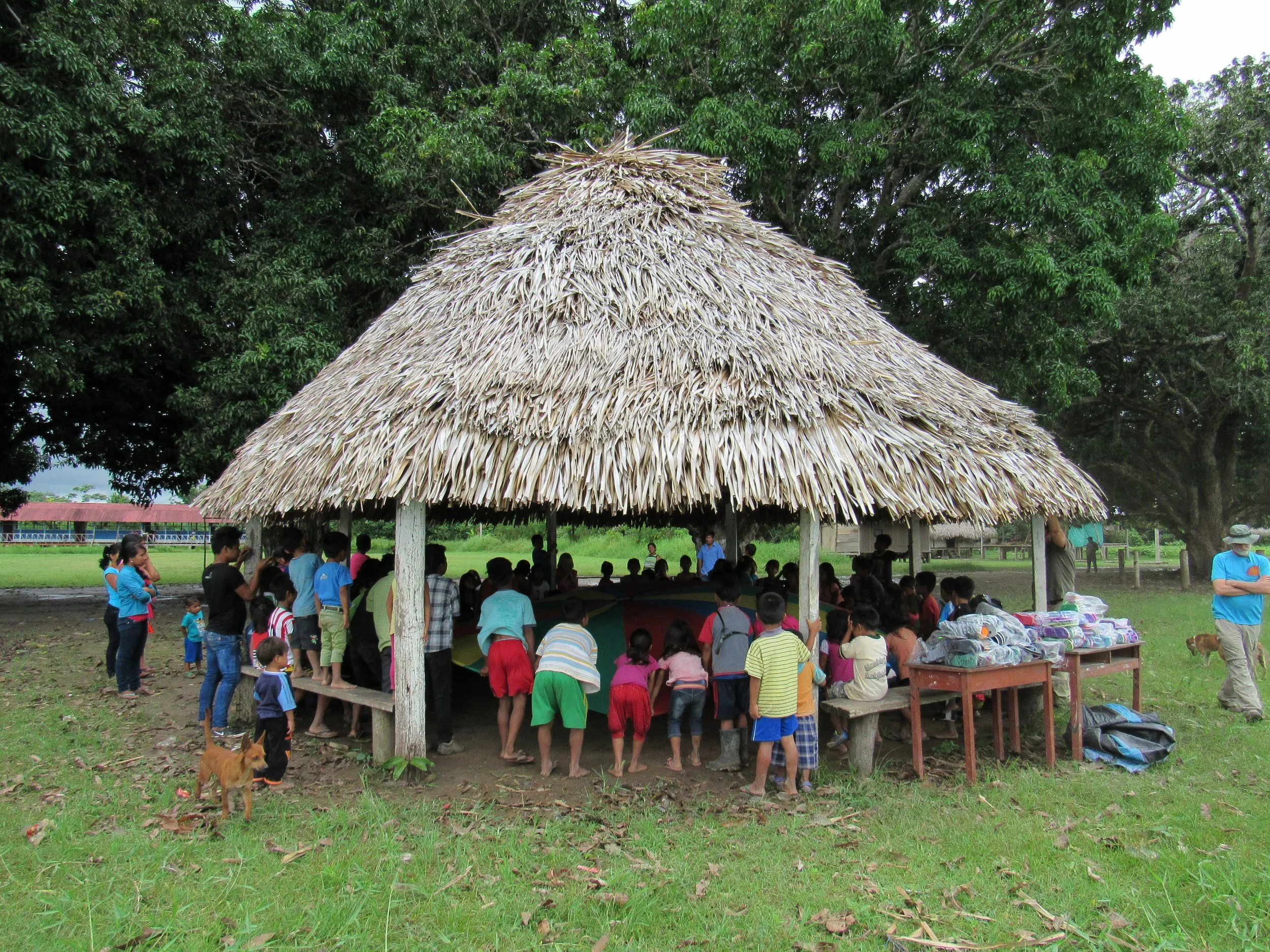 A group of people gathered under a thatched roof hut made of natural materials in a grassy area, with tables showing items for sale and trees in the background.