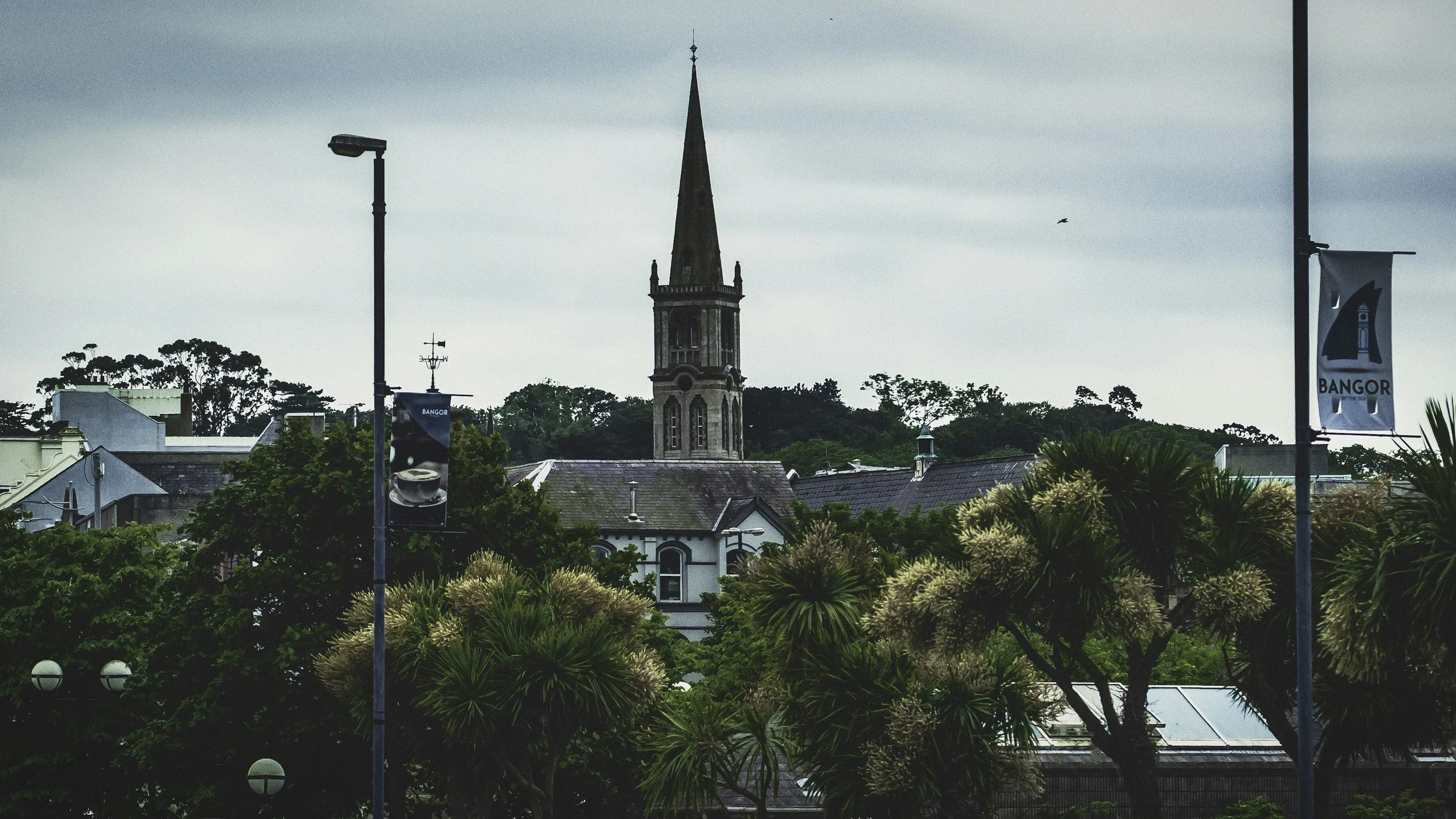 A view of a historic church steeple surrounded by trees in Bangor, with overcast skies.