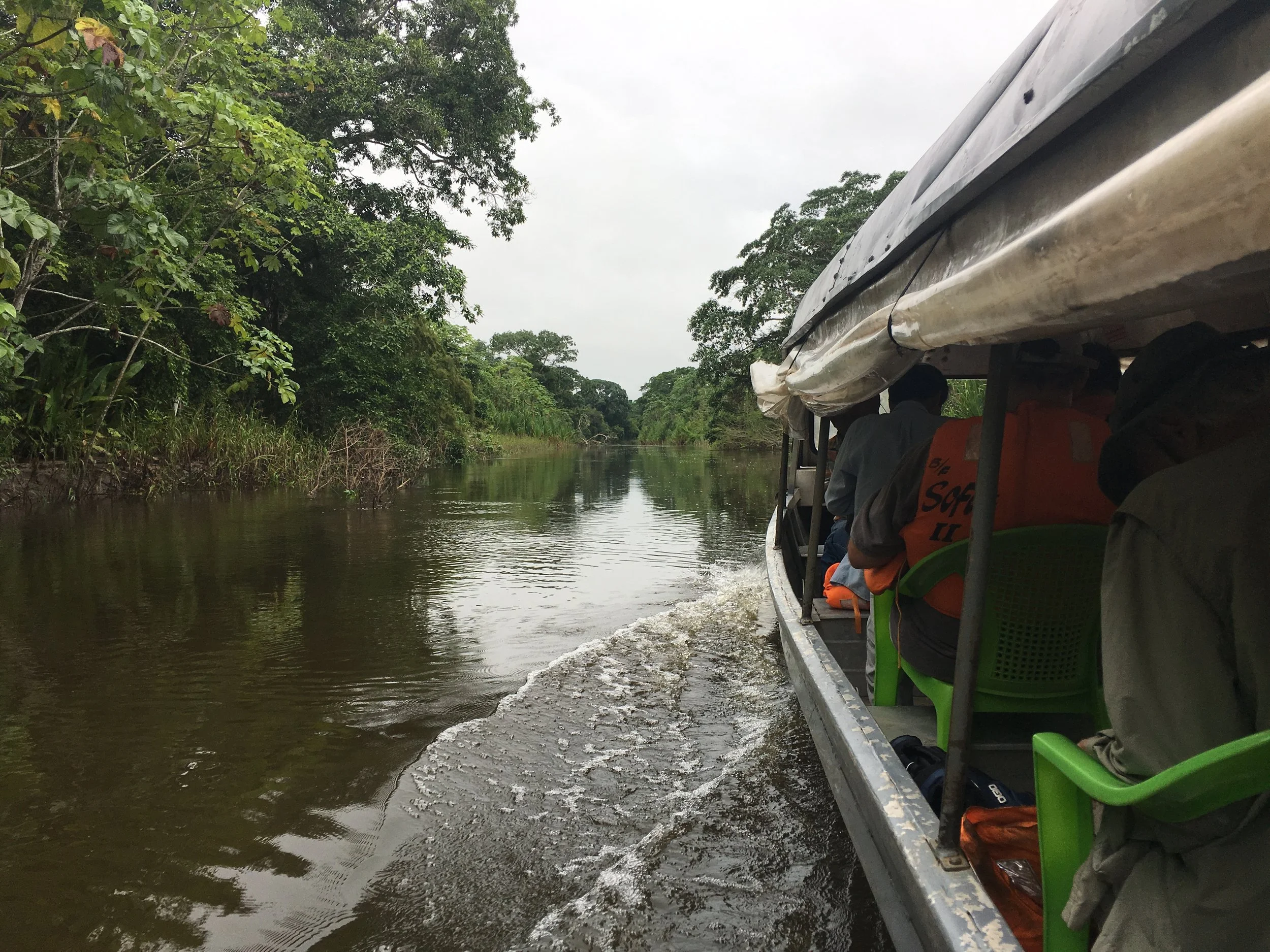 A boat traveling along a narrow river or canal in a lush, green jungle or forest.