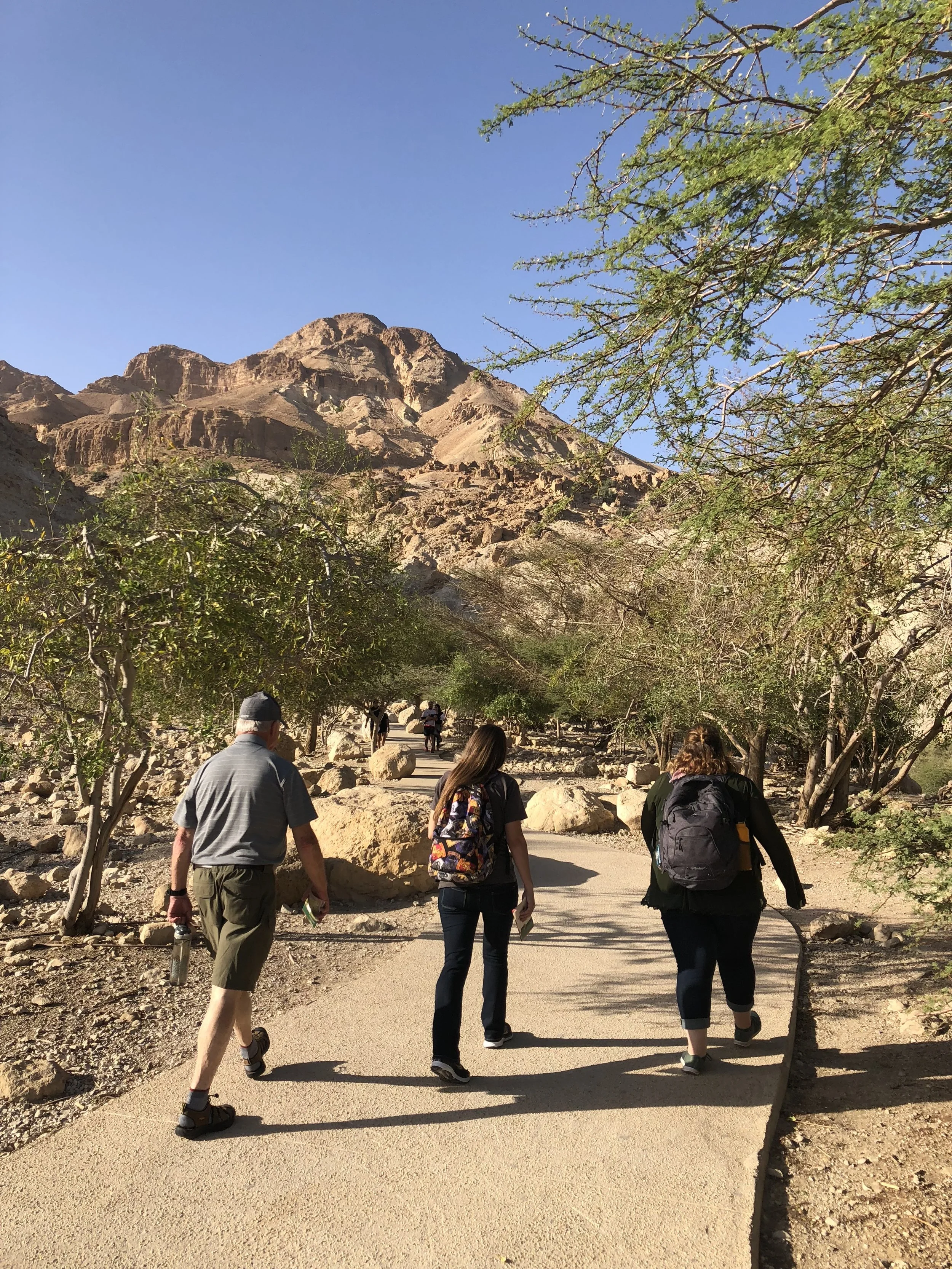 Group of people walking along a trail in a desert landscape with rocky mountains and sparse trees