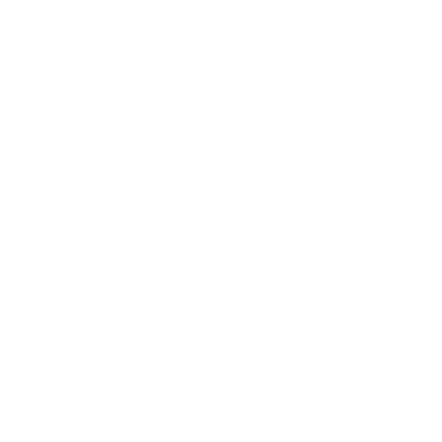 ANAMO_WEB_ICONS-02.png