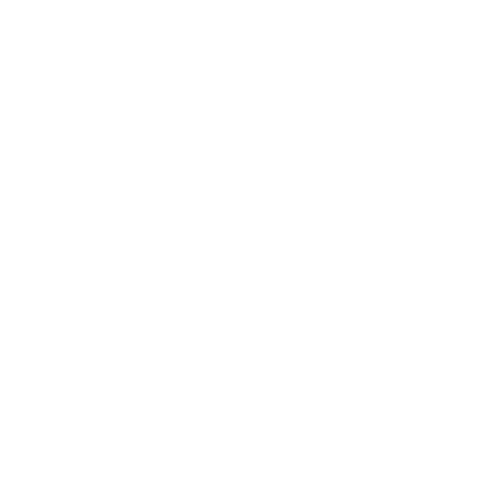 ANAMO_WEB_ICONS-04.png