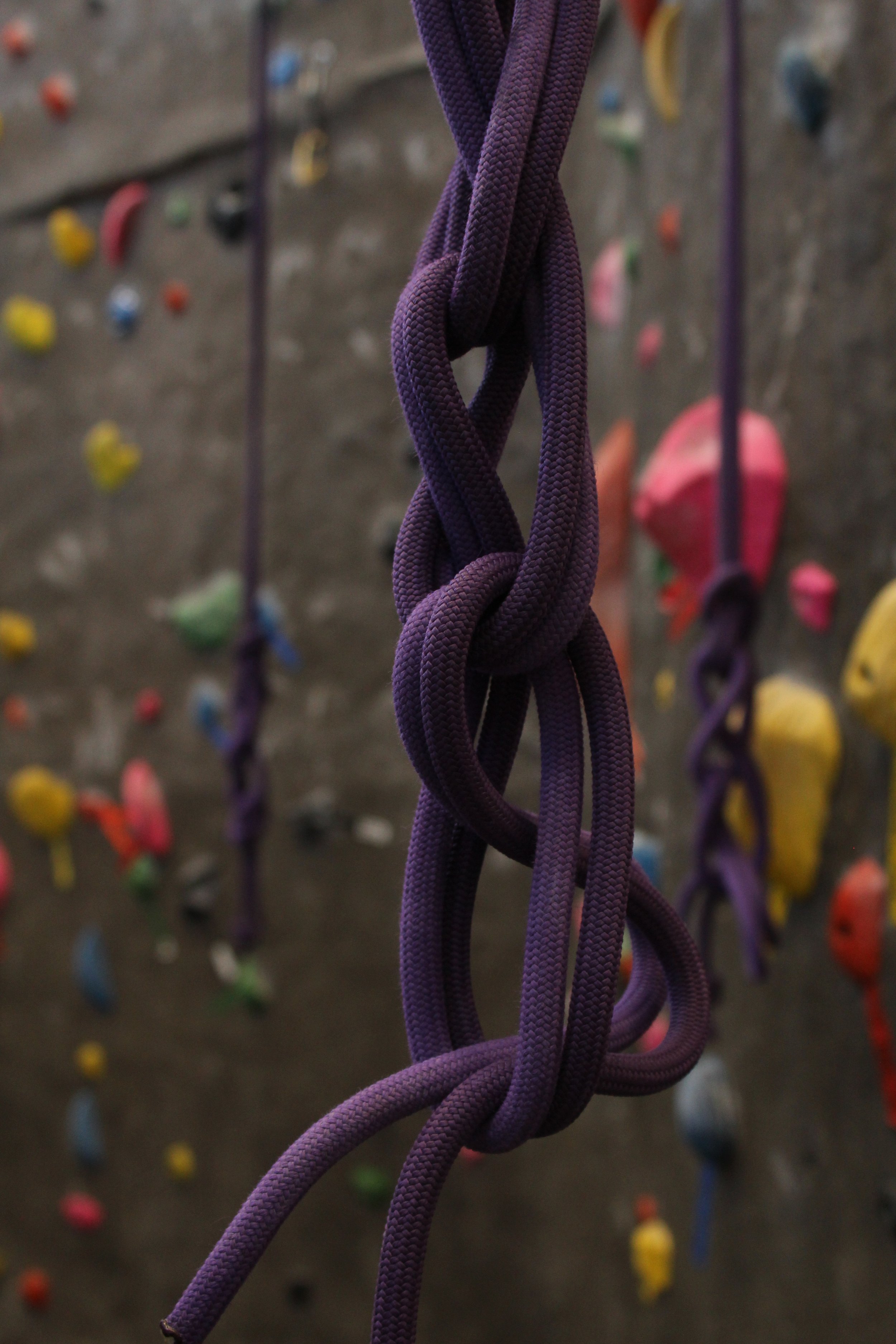 Climbing02-MM.JPG