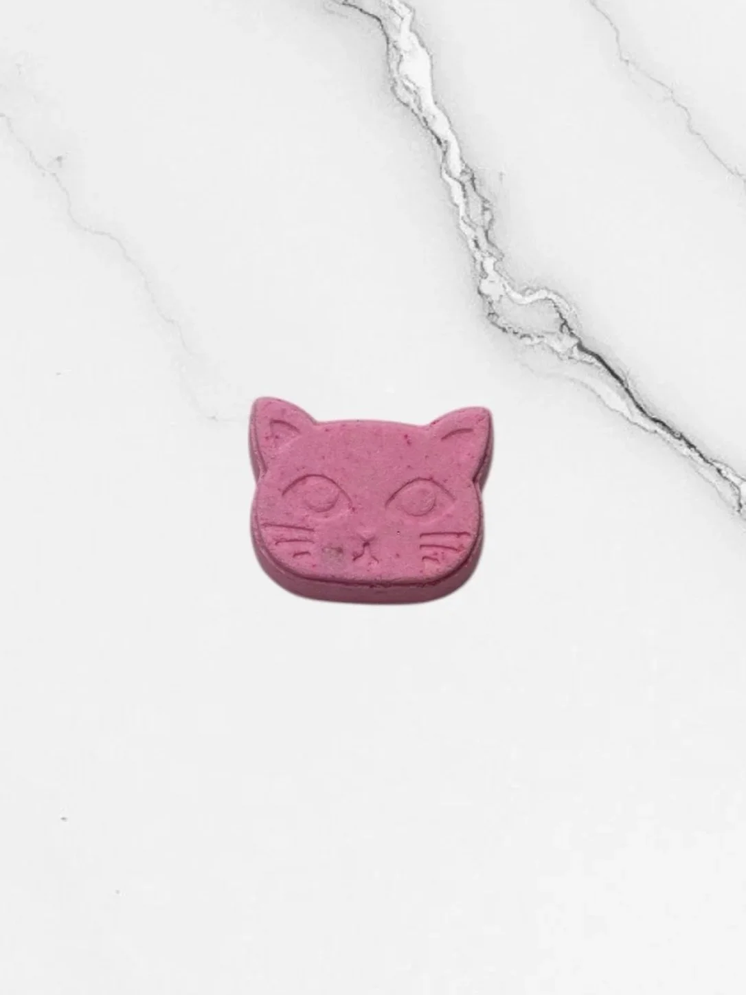 kittycat.jpg