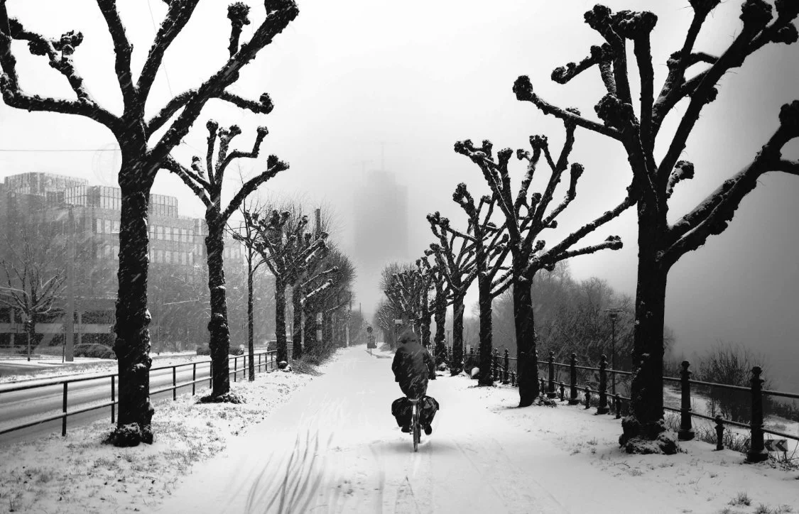 Wintery Cologne - Jem Saylor