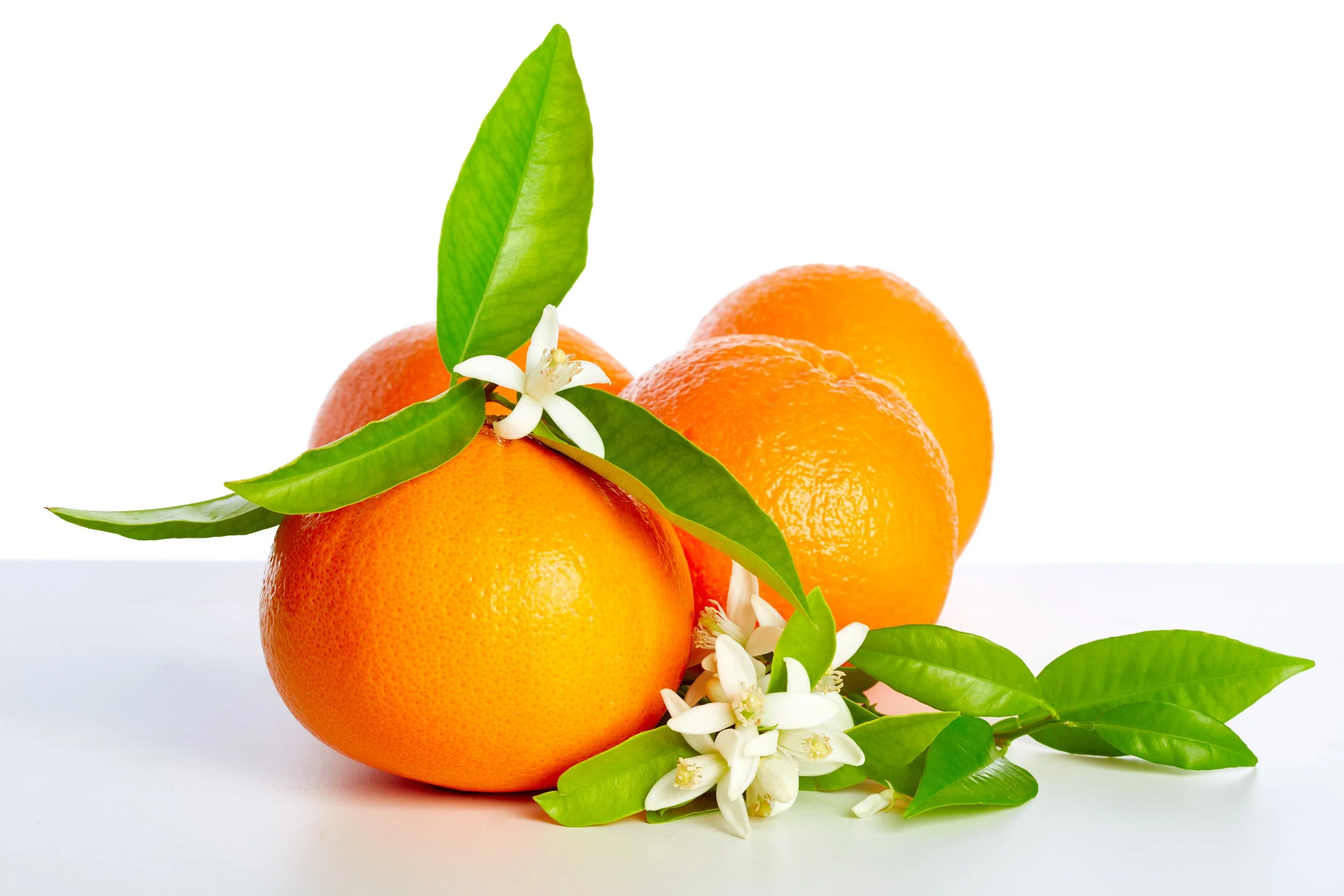 Perfumery Class | Orange Blossom