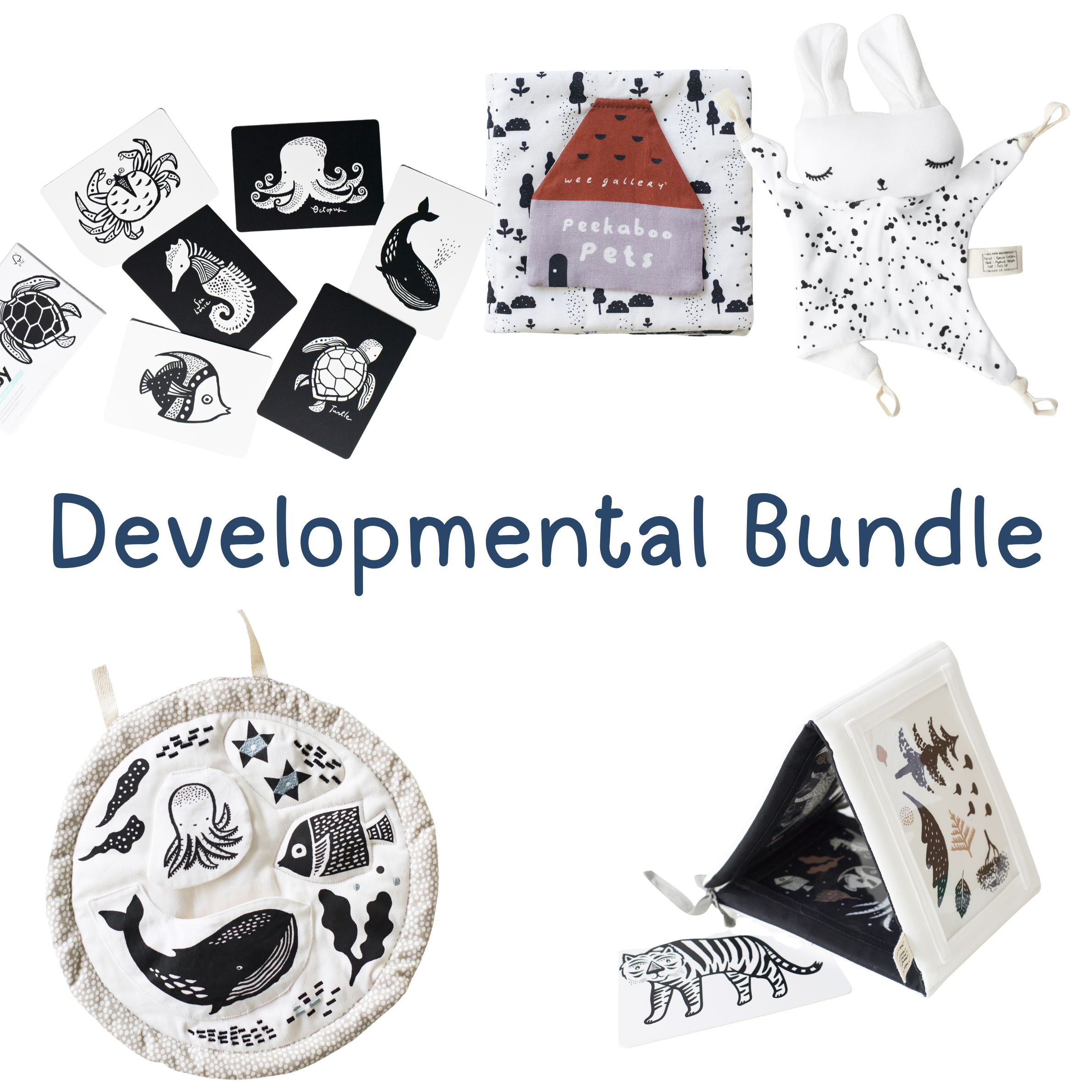 Developmental Bundle for Baby